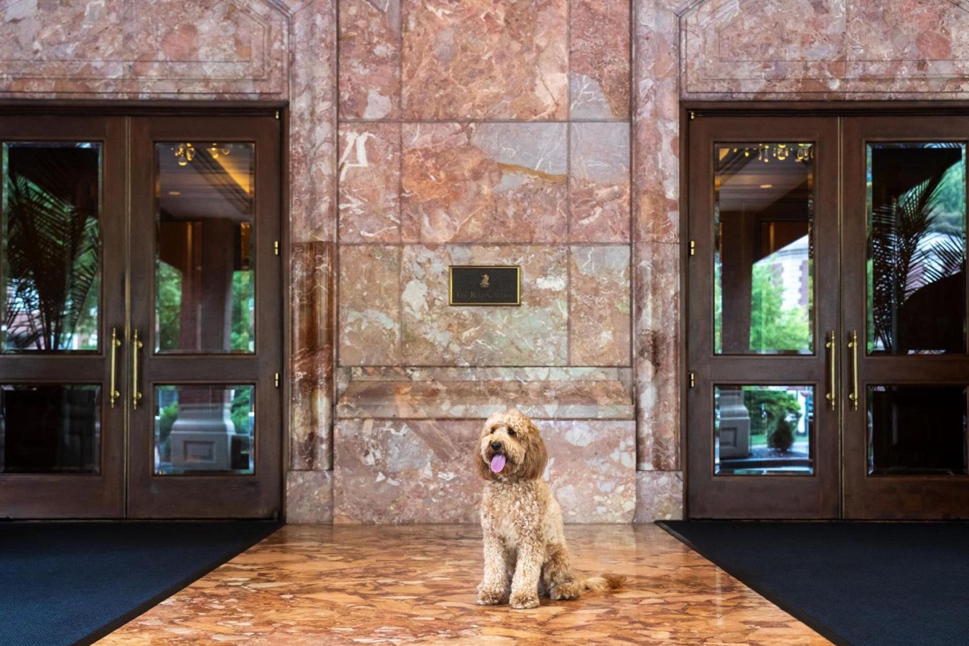The Ritz-Carlton, St. Louis photo 4