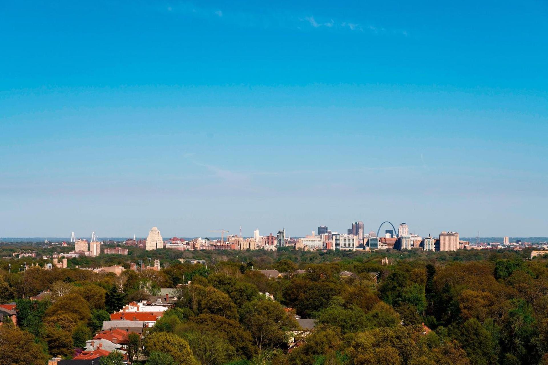 The Ritz-Carlton, St. Louis photo 18