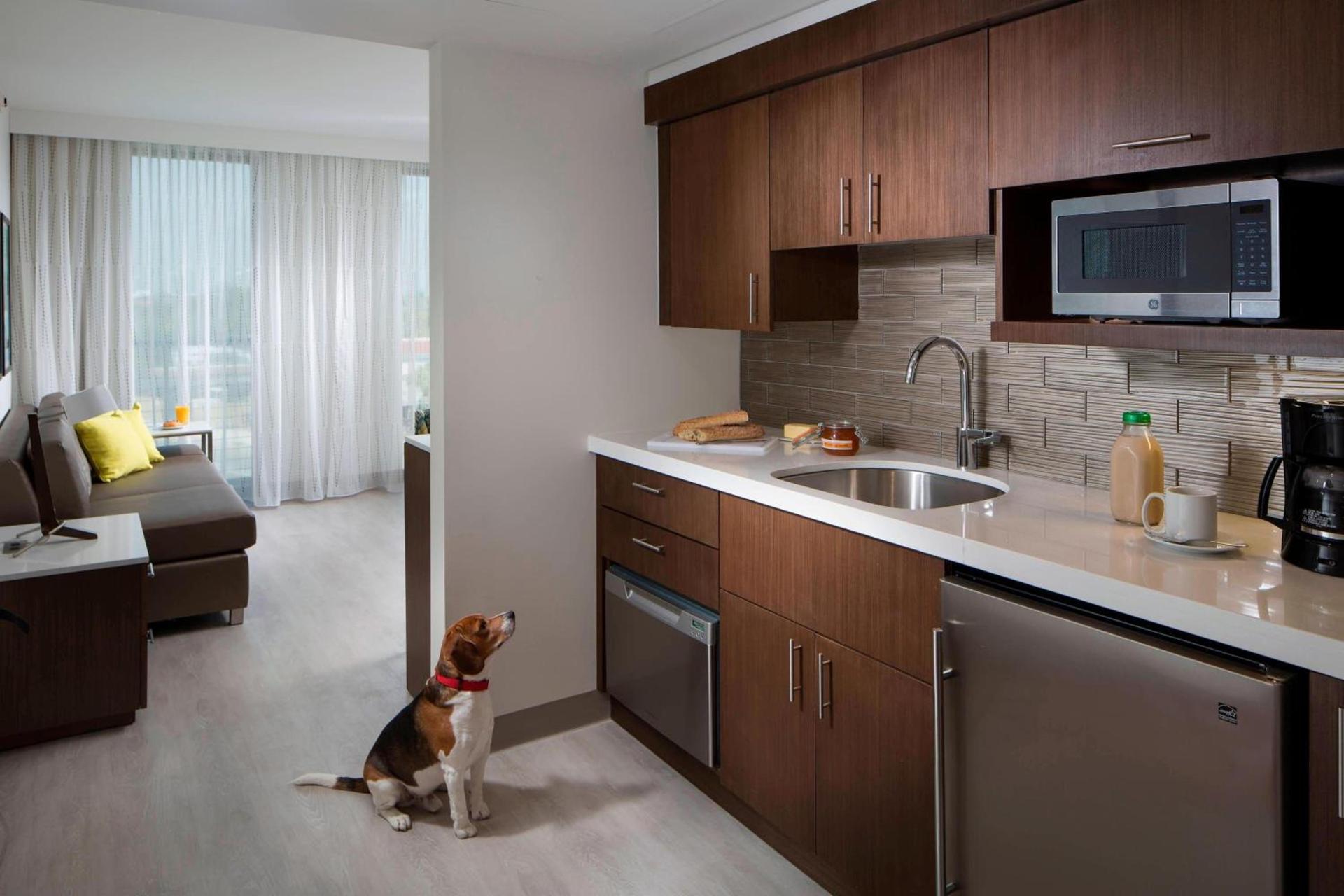 Residence Inn by Marriott Miami Beach South Beach photo 22