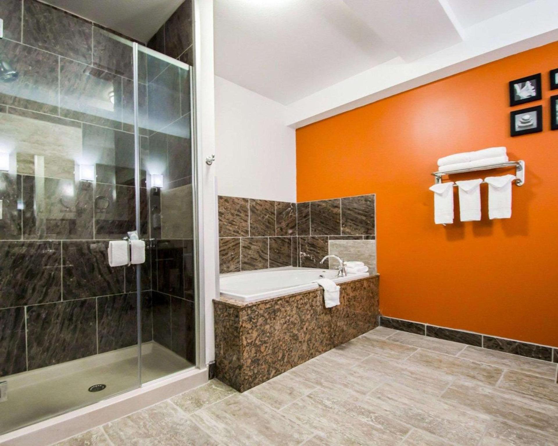 Sleep Inn & Suites And Conference Center Downtown photo 13