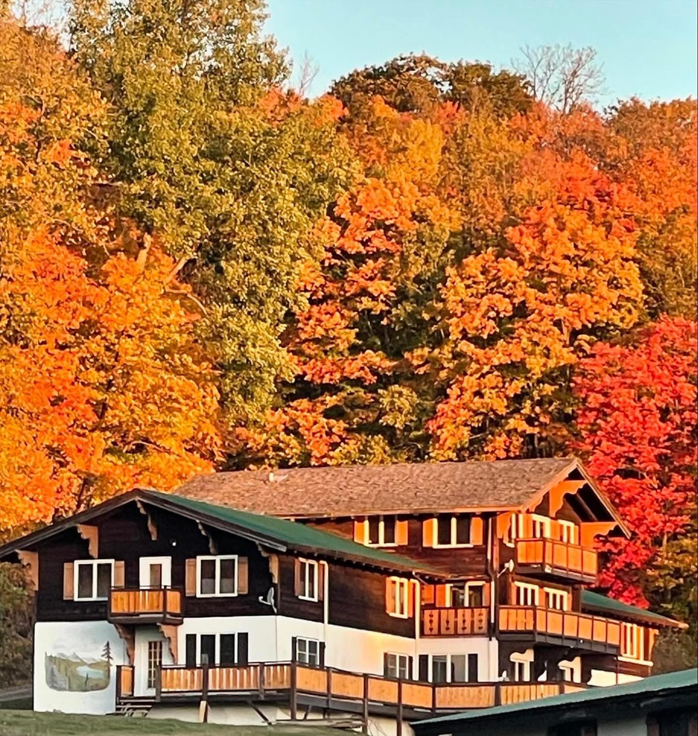 Davos Chalet photo 4