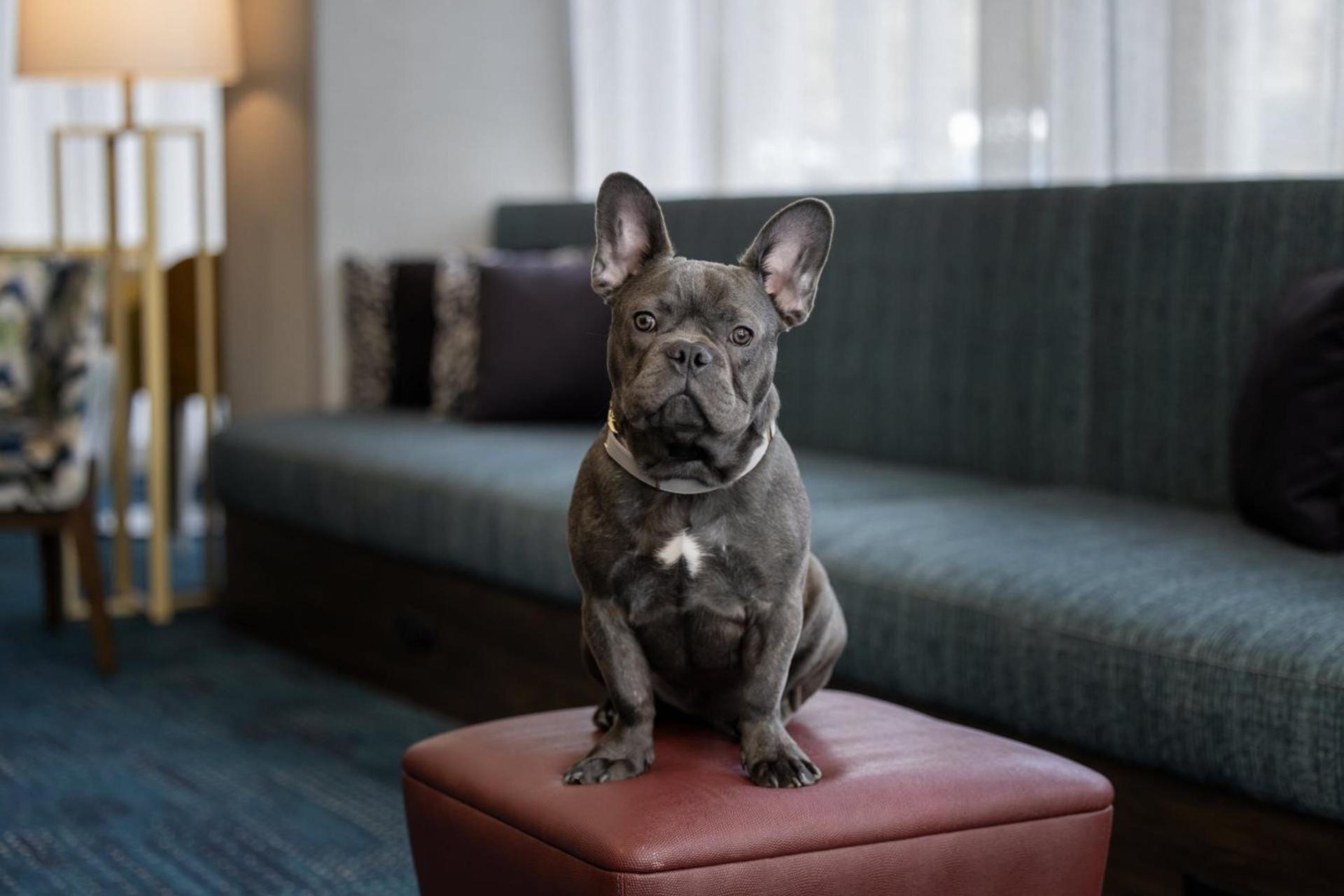 Hampton Inn Cleveland-Downtown photo 37