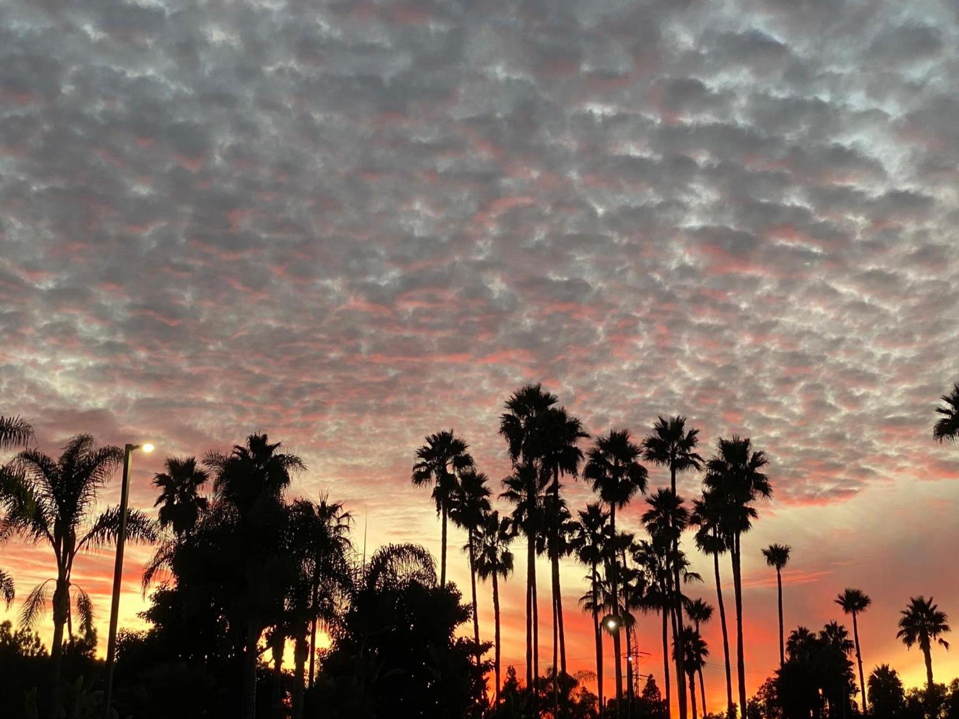 Holiday Inn Express & Suites Carlsbad Beach by IHG photo 40