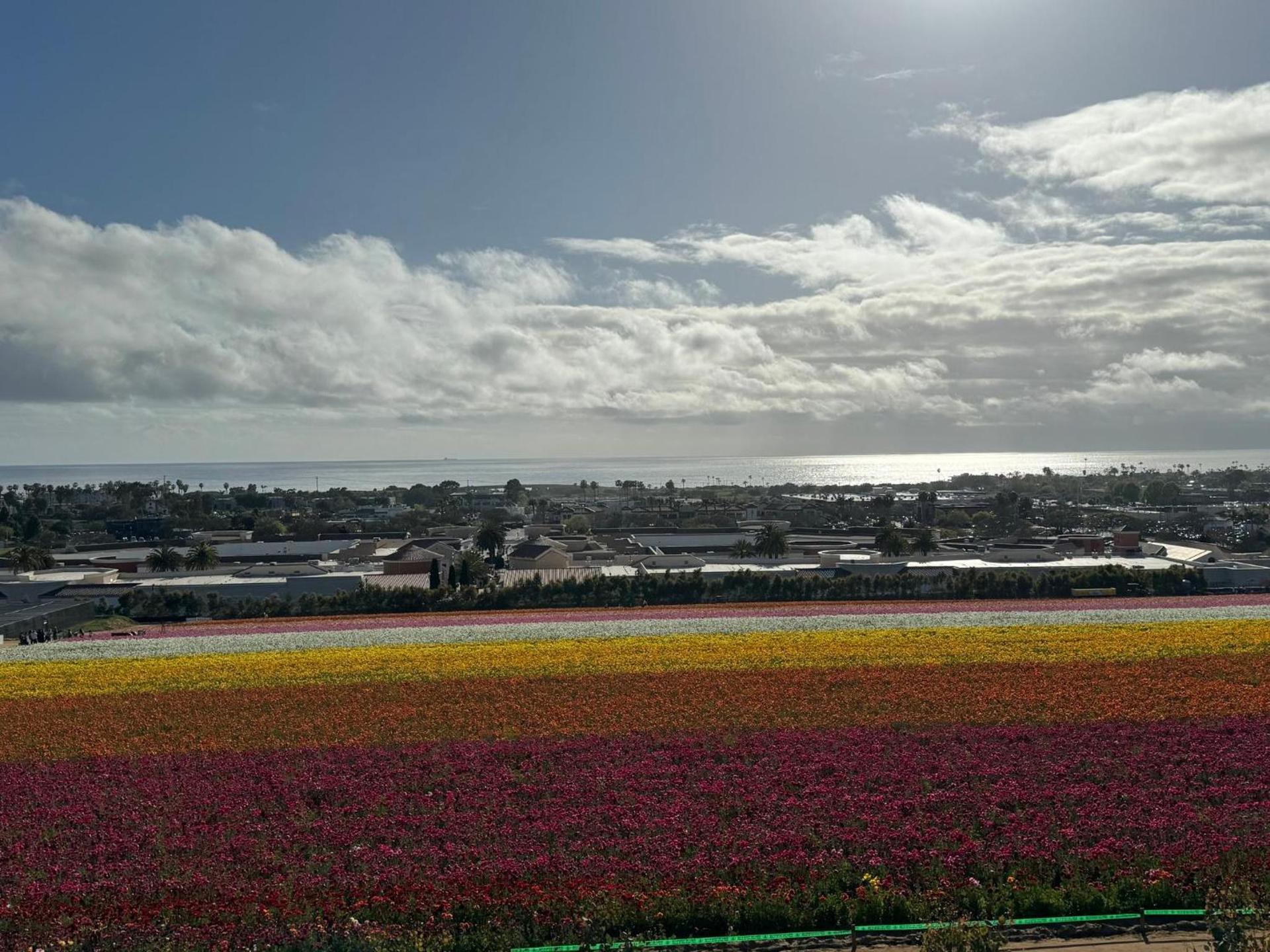 Holiday Inn Express & Suites Carlsbad Beach by IHG photo 35