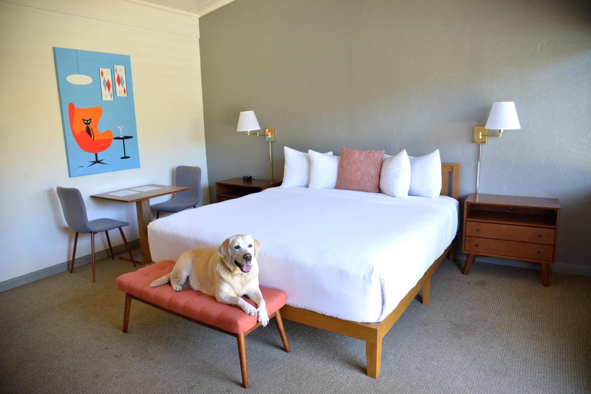 Contenta Inn photo 58