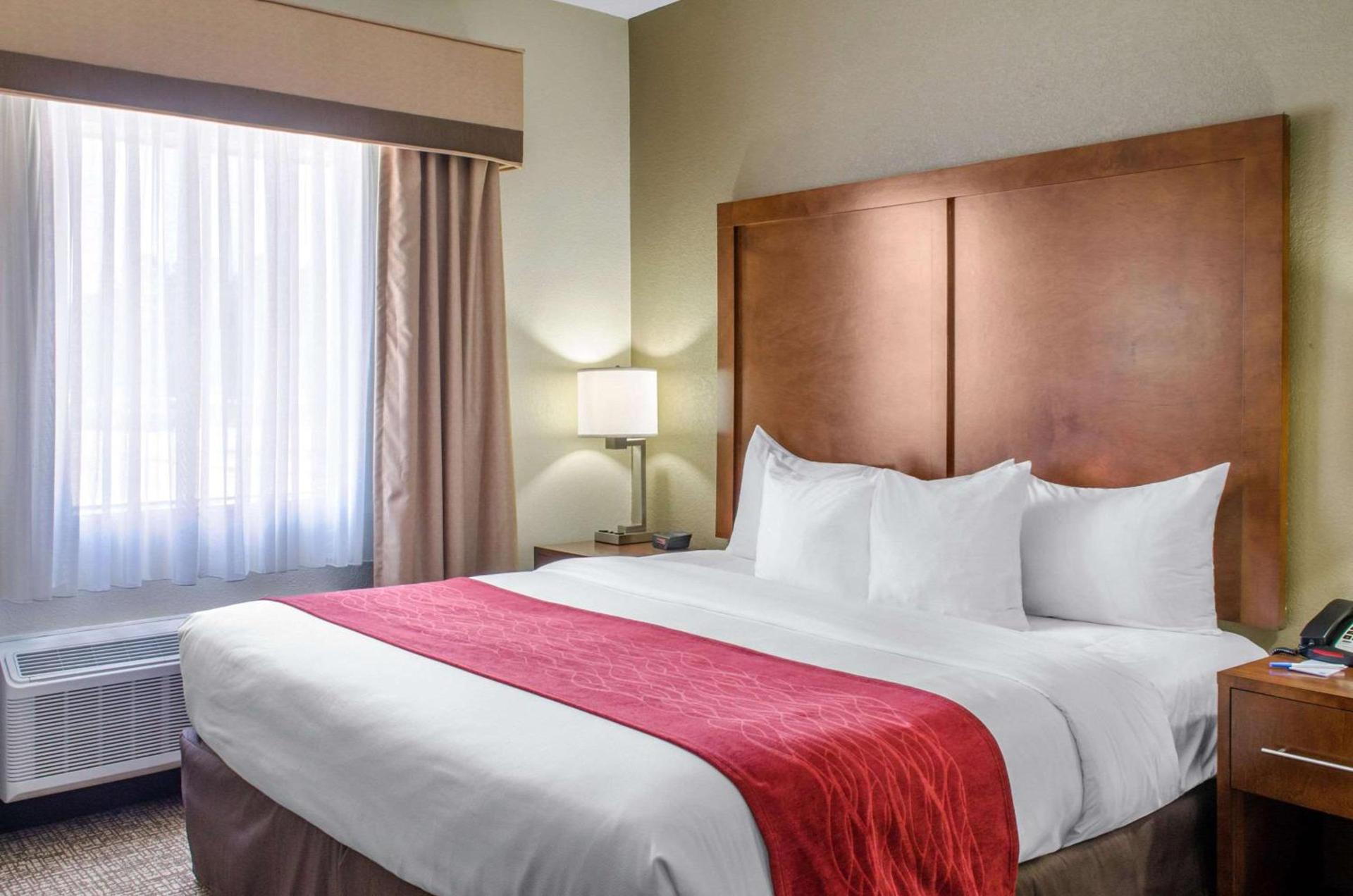 Comfort Inn & Suites Covington - Mandeville photo 31