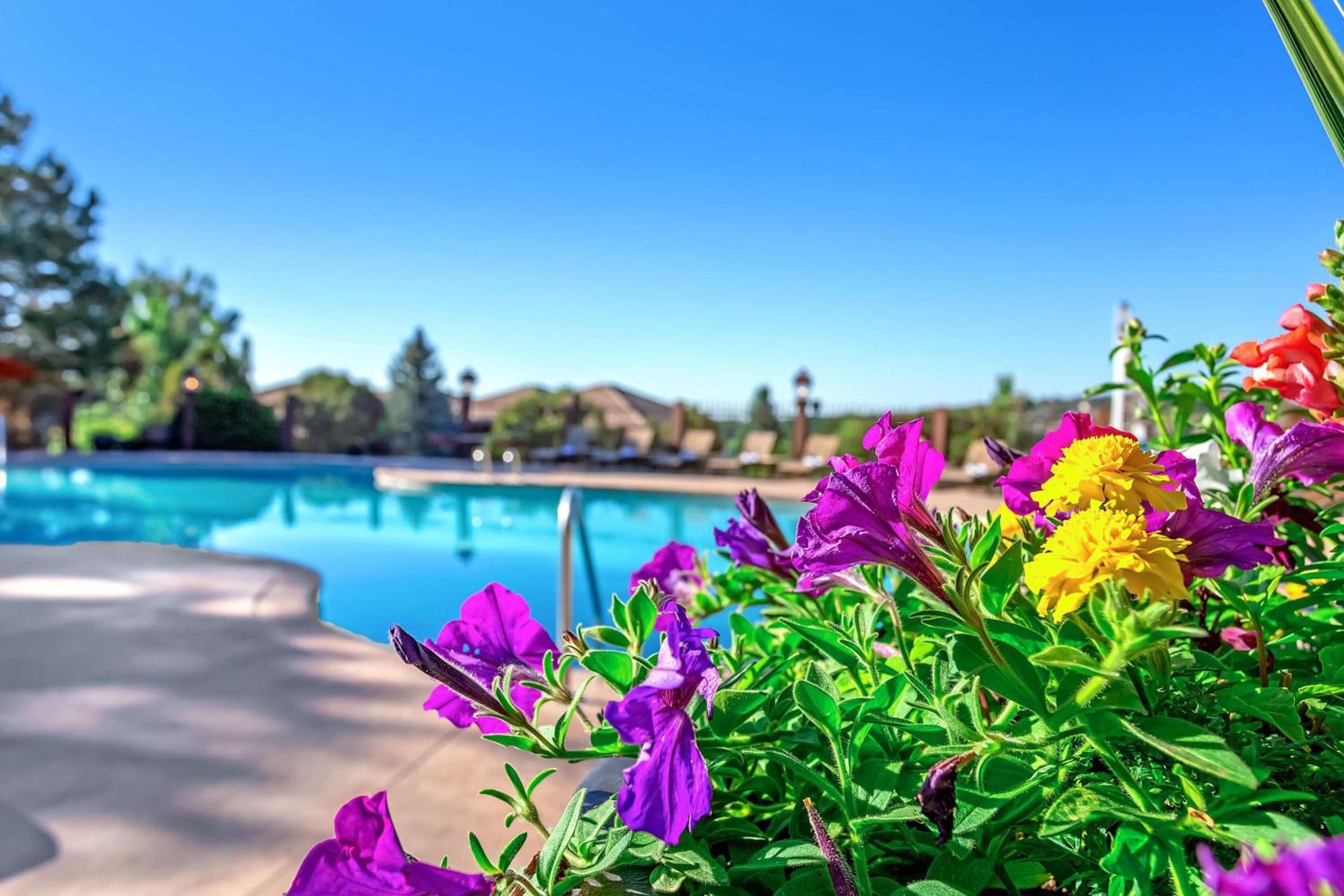 Cheyenne Mountain Resort, a Destination by Hyatt Hotels photo 12
