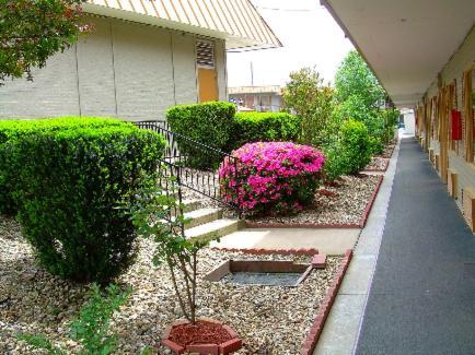 Executive Inn, Springdale photo 6