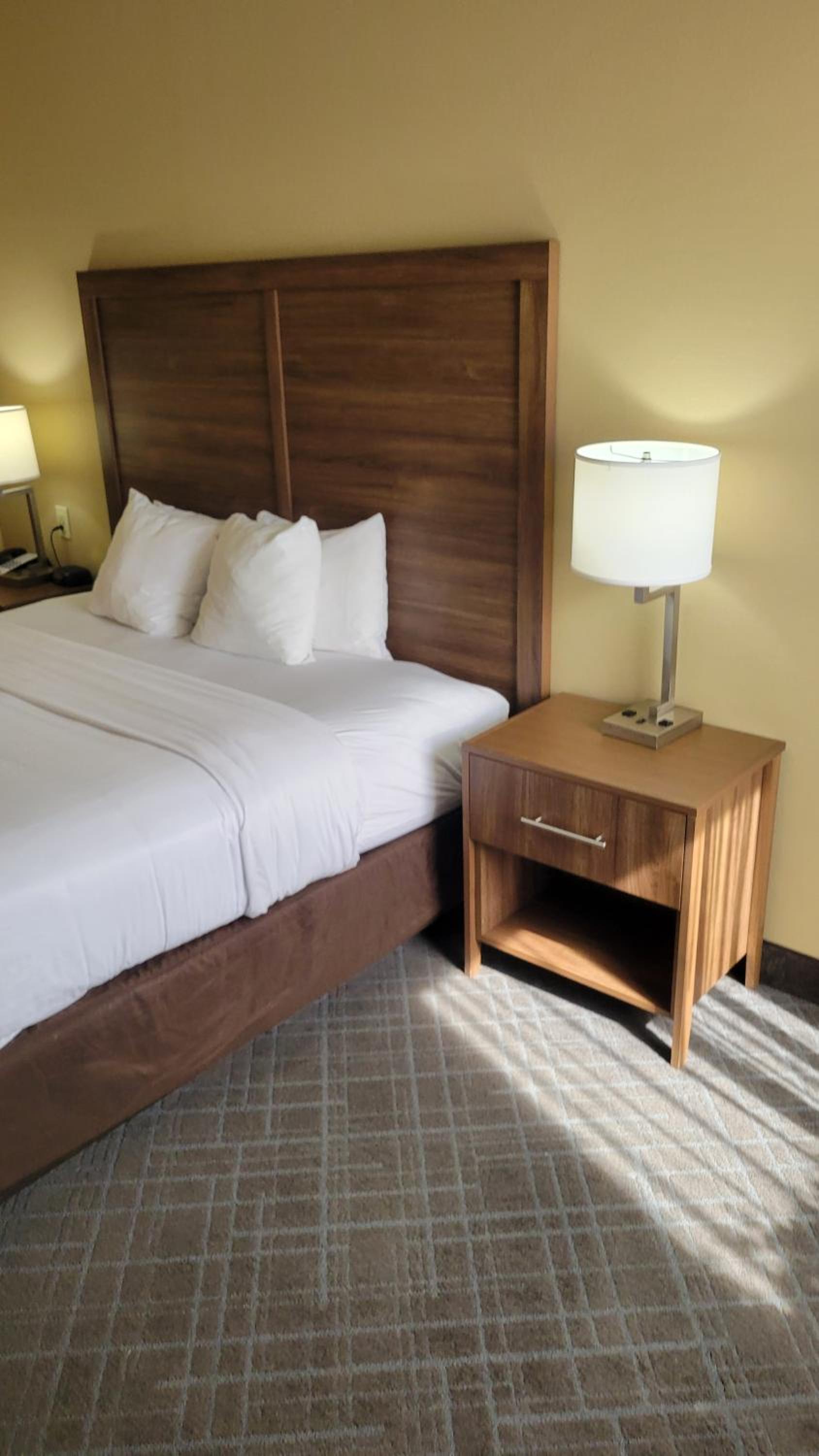 Comfort Inn & Suites at Stone Mountain photo 18