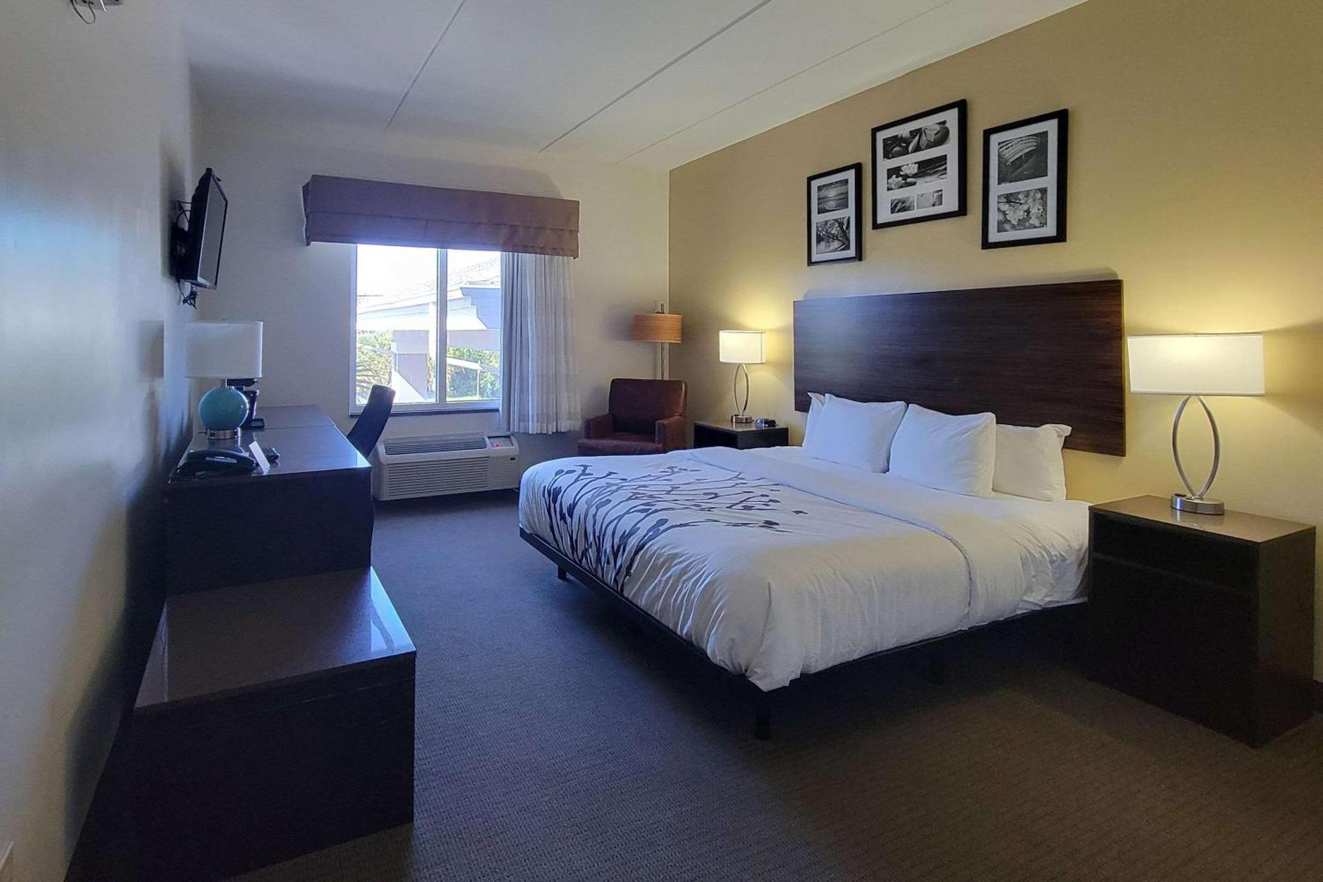Garner Hotel Panama City Beach Northeast by IHG photo 5