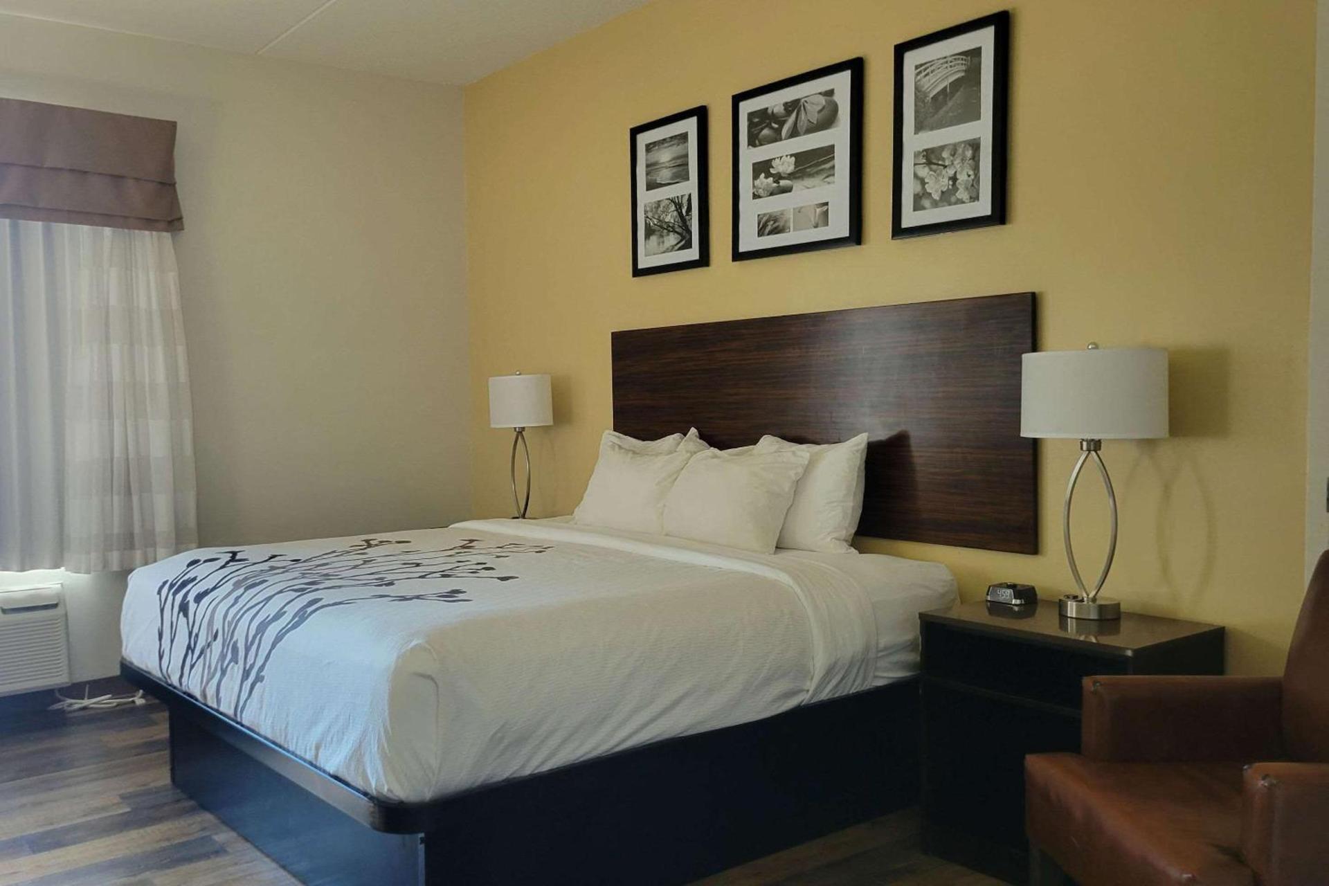 Garner Hotel Panama City Beach Northeast by IHG photo 6