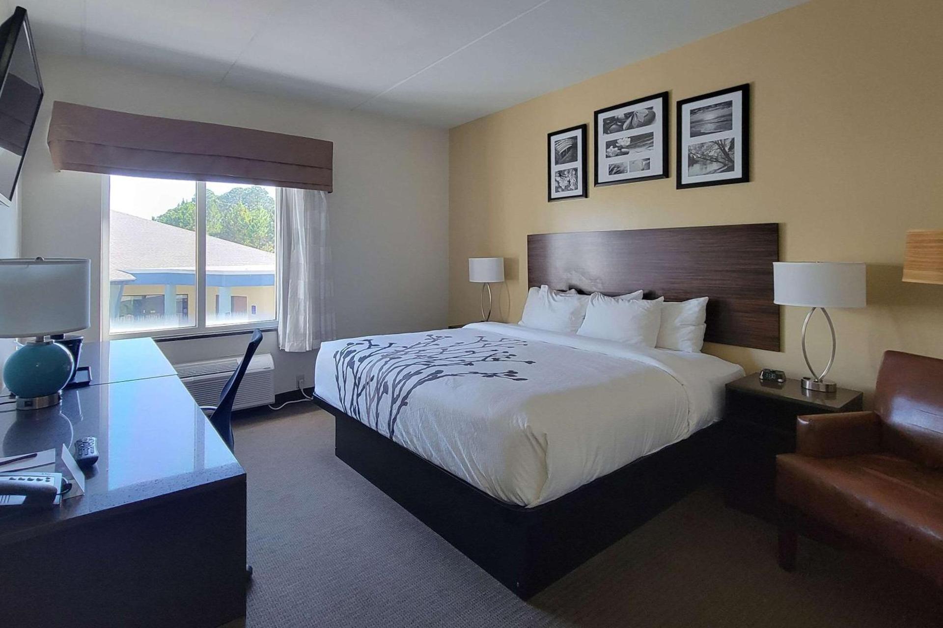 Garner Hotel Panama City Beach Northeast by IHG photo 3