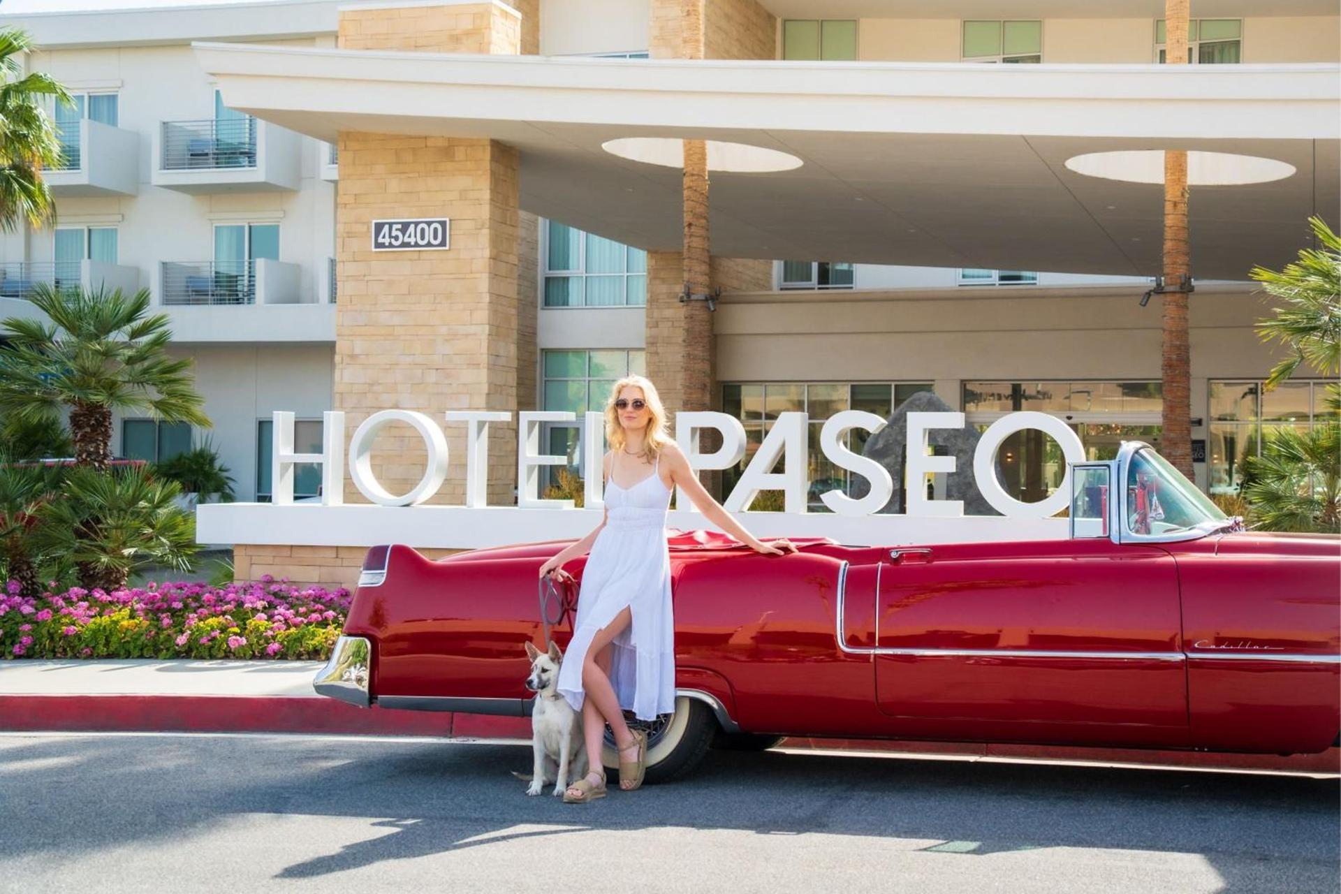 HOTEL PASEO, Autograph Collection photo 13