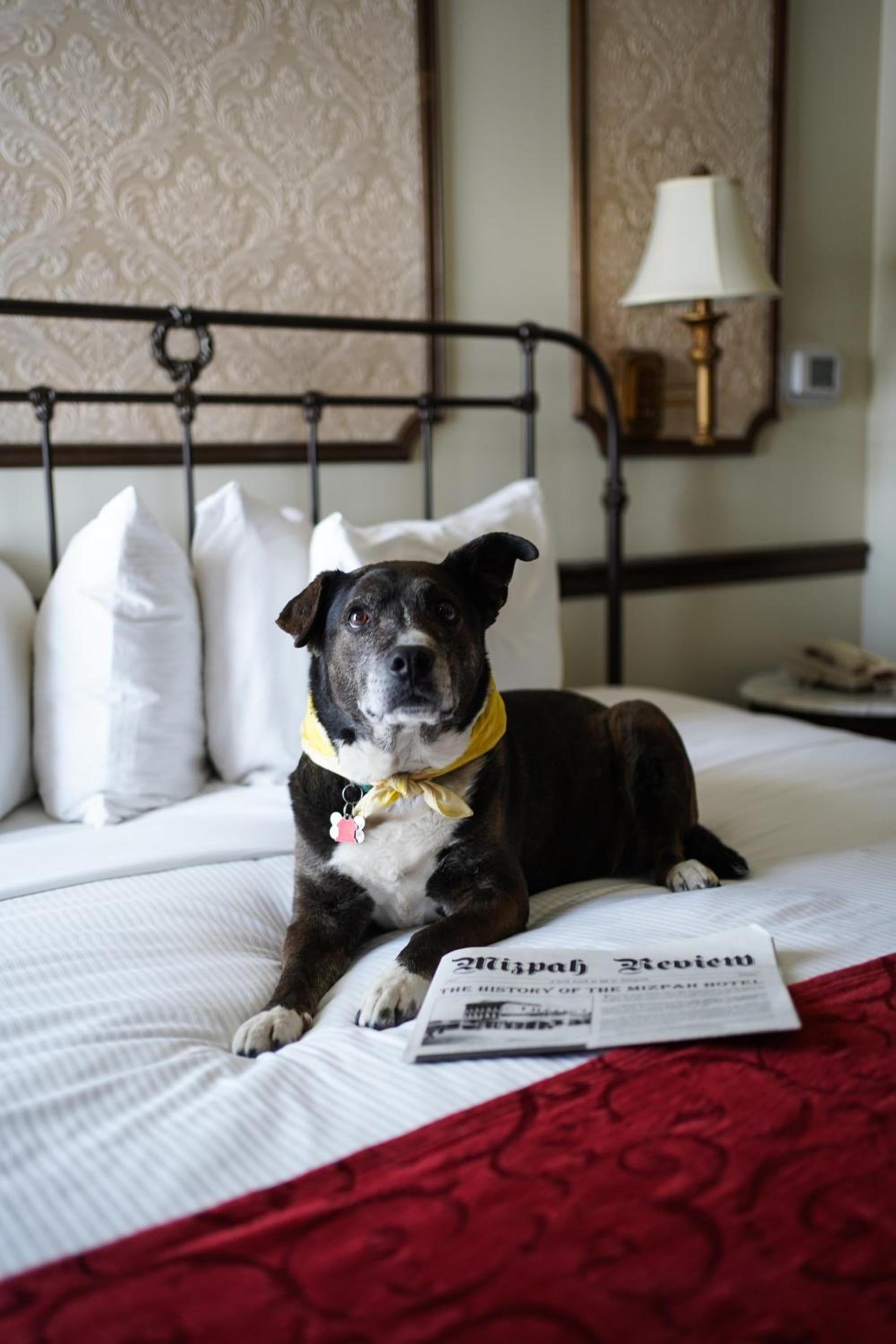 Mizpah Hotel photo 34