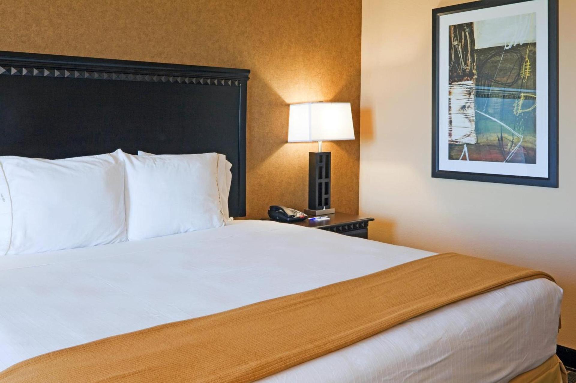 Holiday Inn Express Hotel & Suites Ennis by IHG photo 36