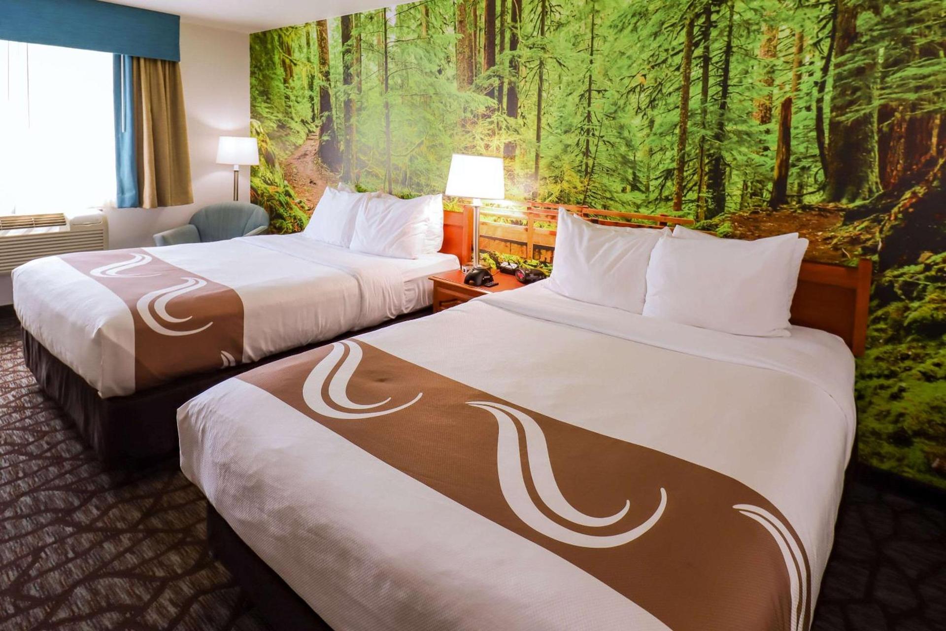 Quality Inn & Suites Sequim at Olympic National Park photo 9
