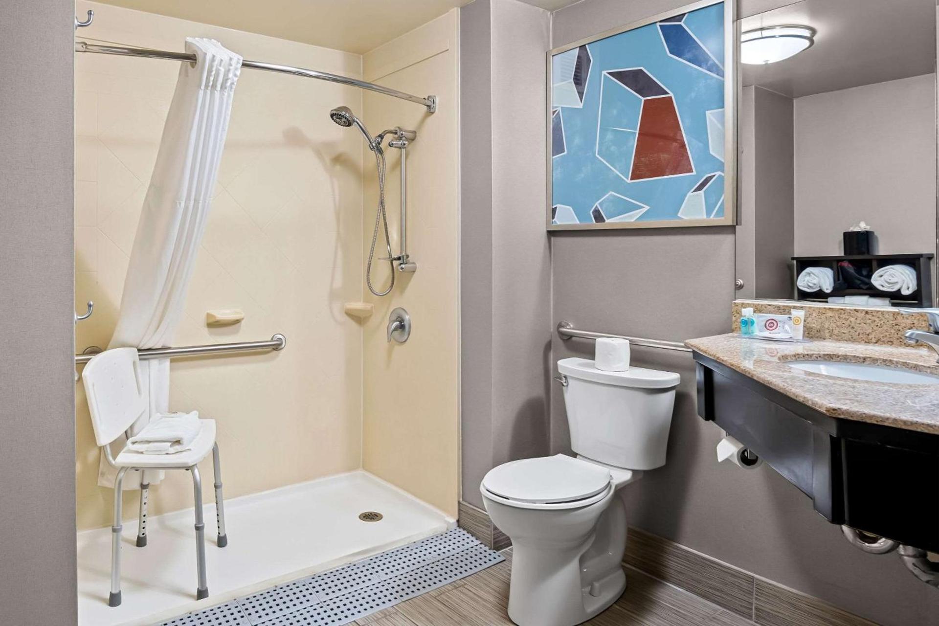 Comfort Inn Cadillac photo 15