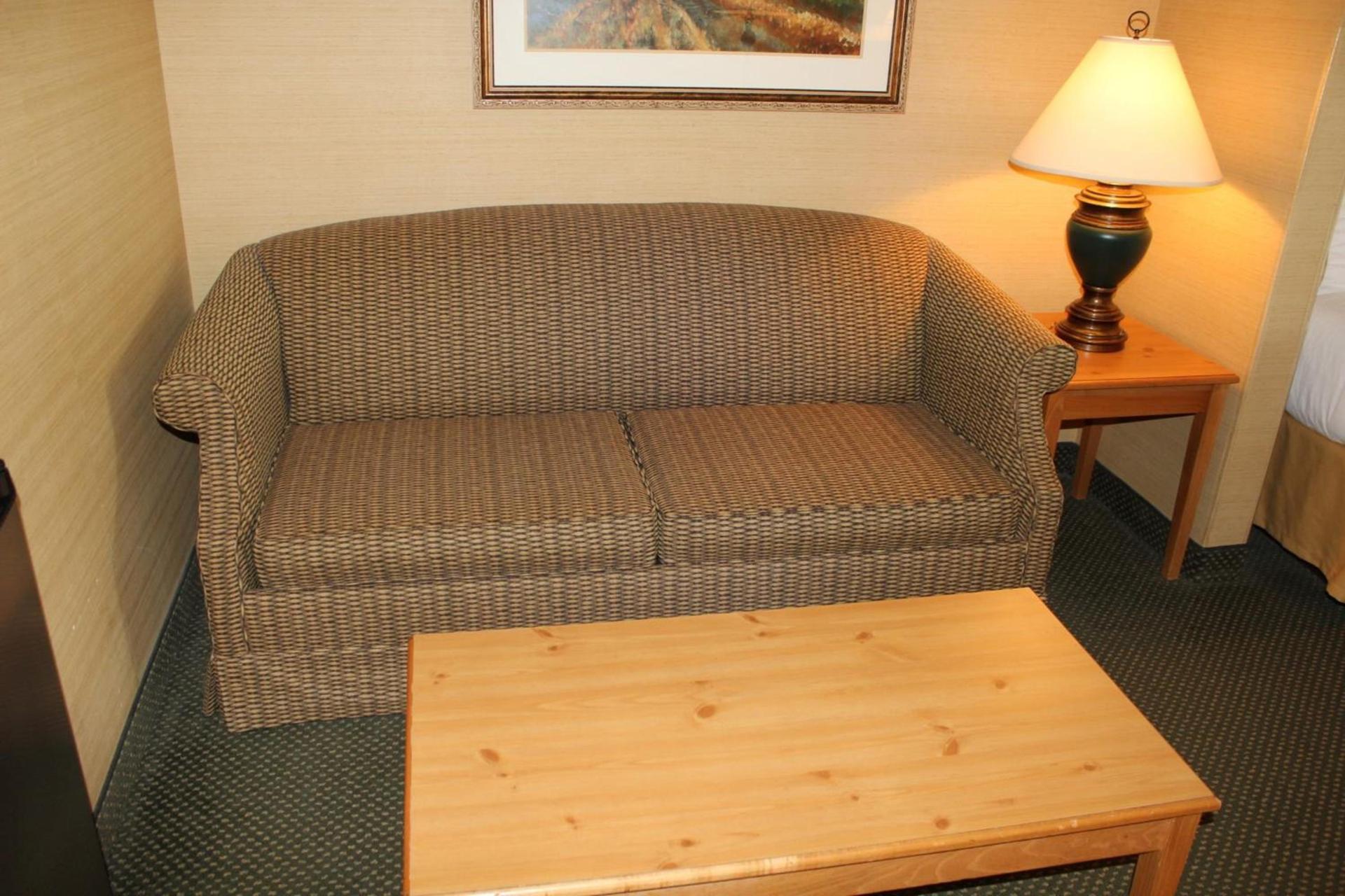 Holiday Inn Express Hotel & Suites Warrenton by IHG photo 10