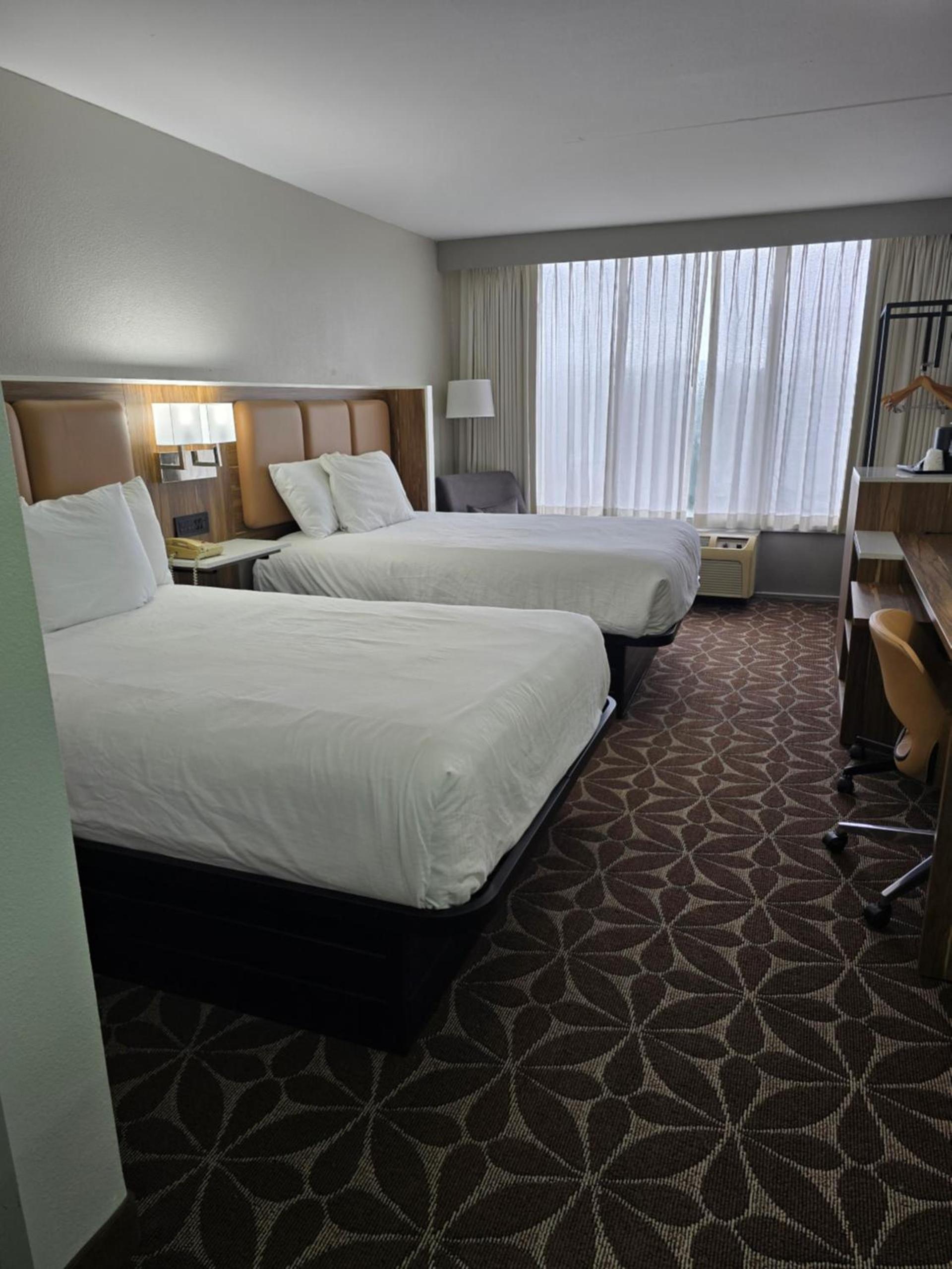 Wyndham Garden Williamsburg Busch Gardens Area photo 35