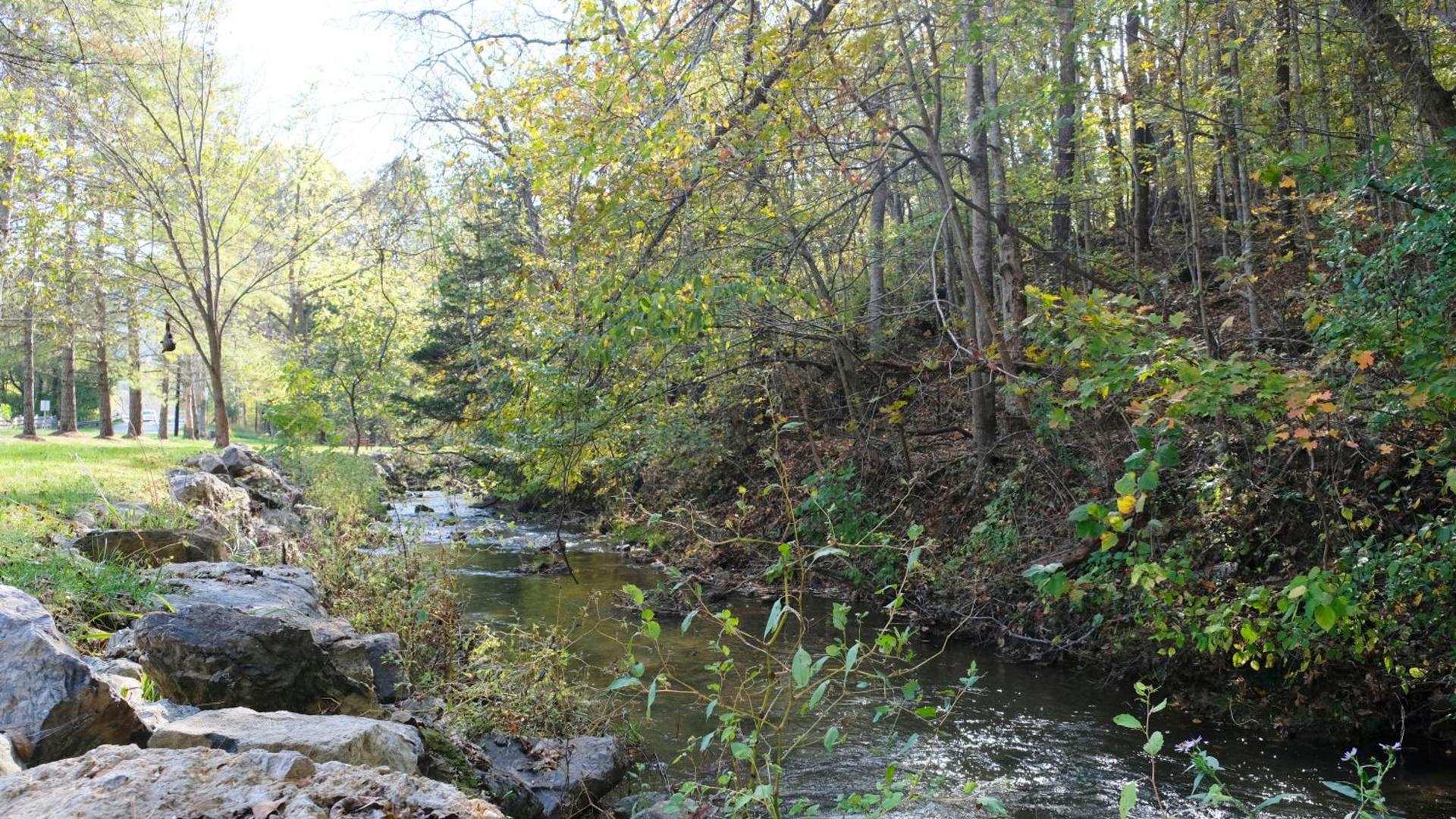 Osceola Mill photo 31
