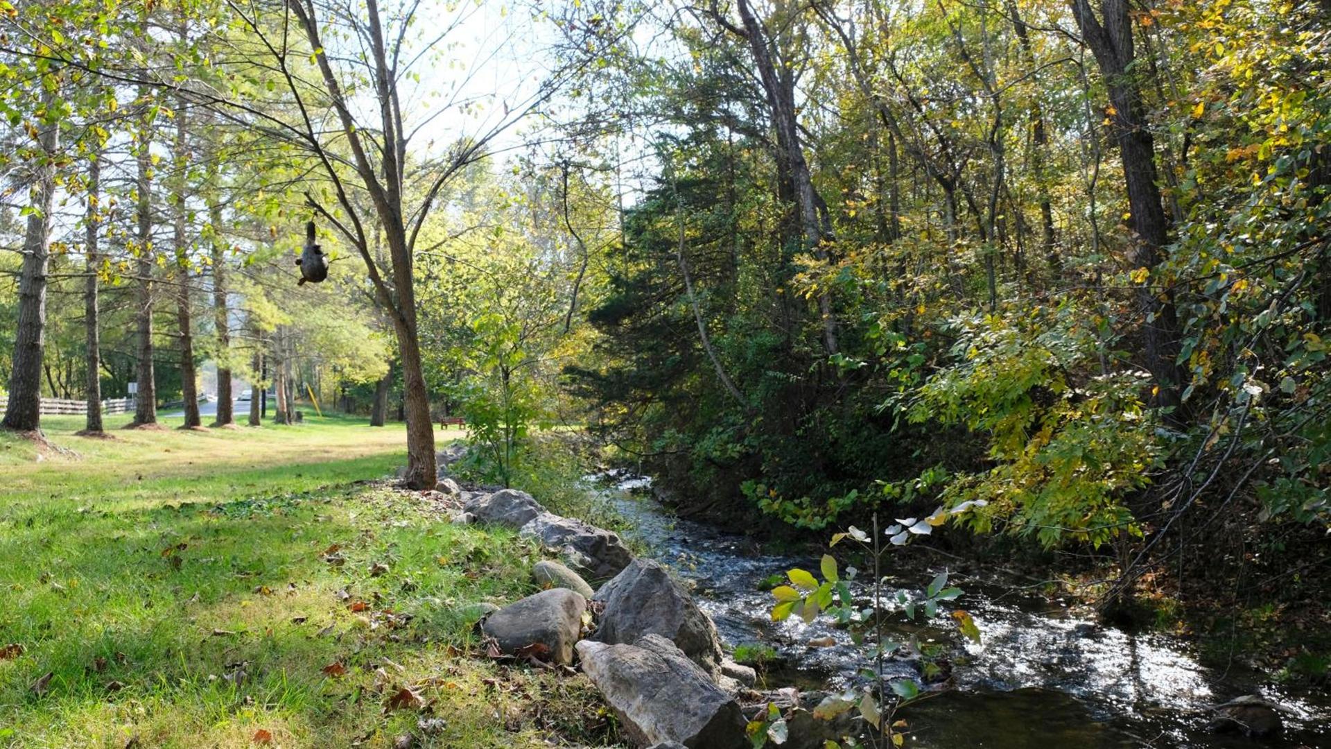 Osceola Mill photo 39