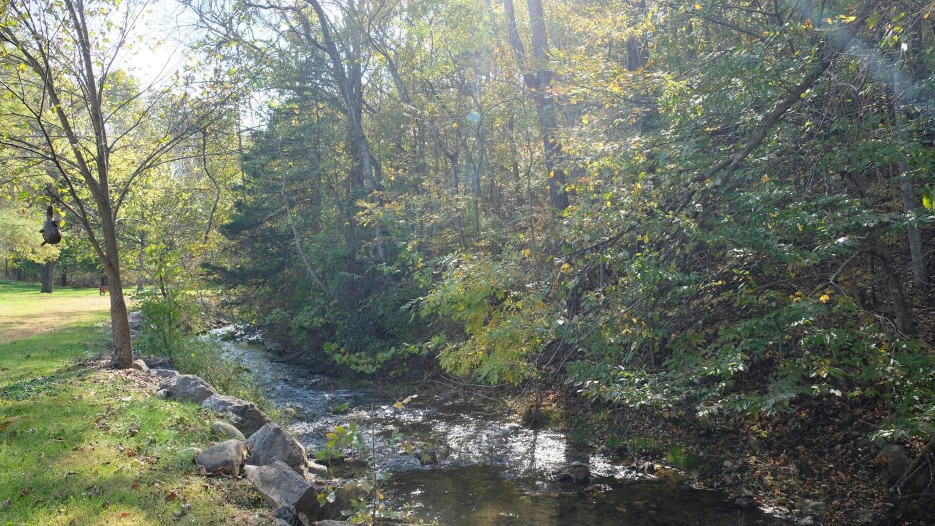 Osceola Mill photo 41