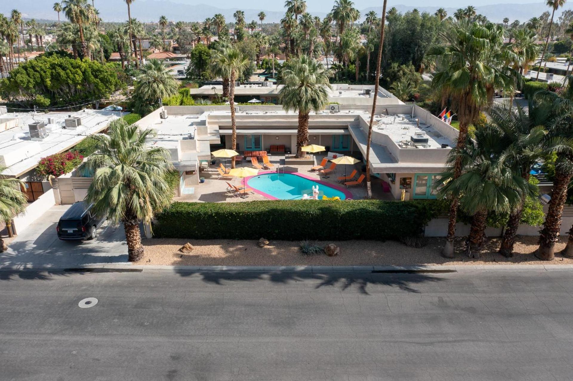 El Noa Noa - 21 and Over photo 5
