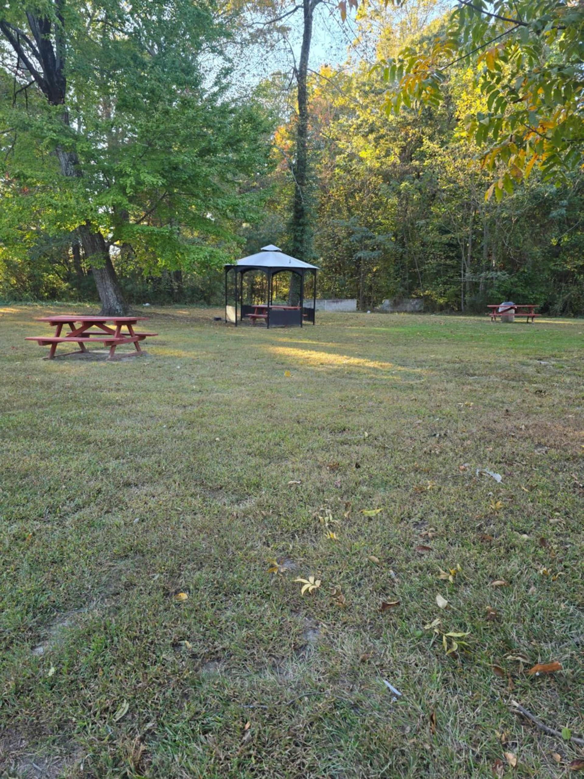 Wyndham Garden Williamsburg Busch Gardens Area photo 28