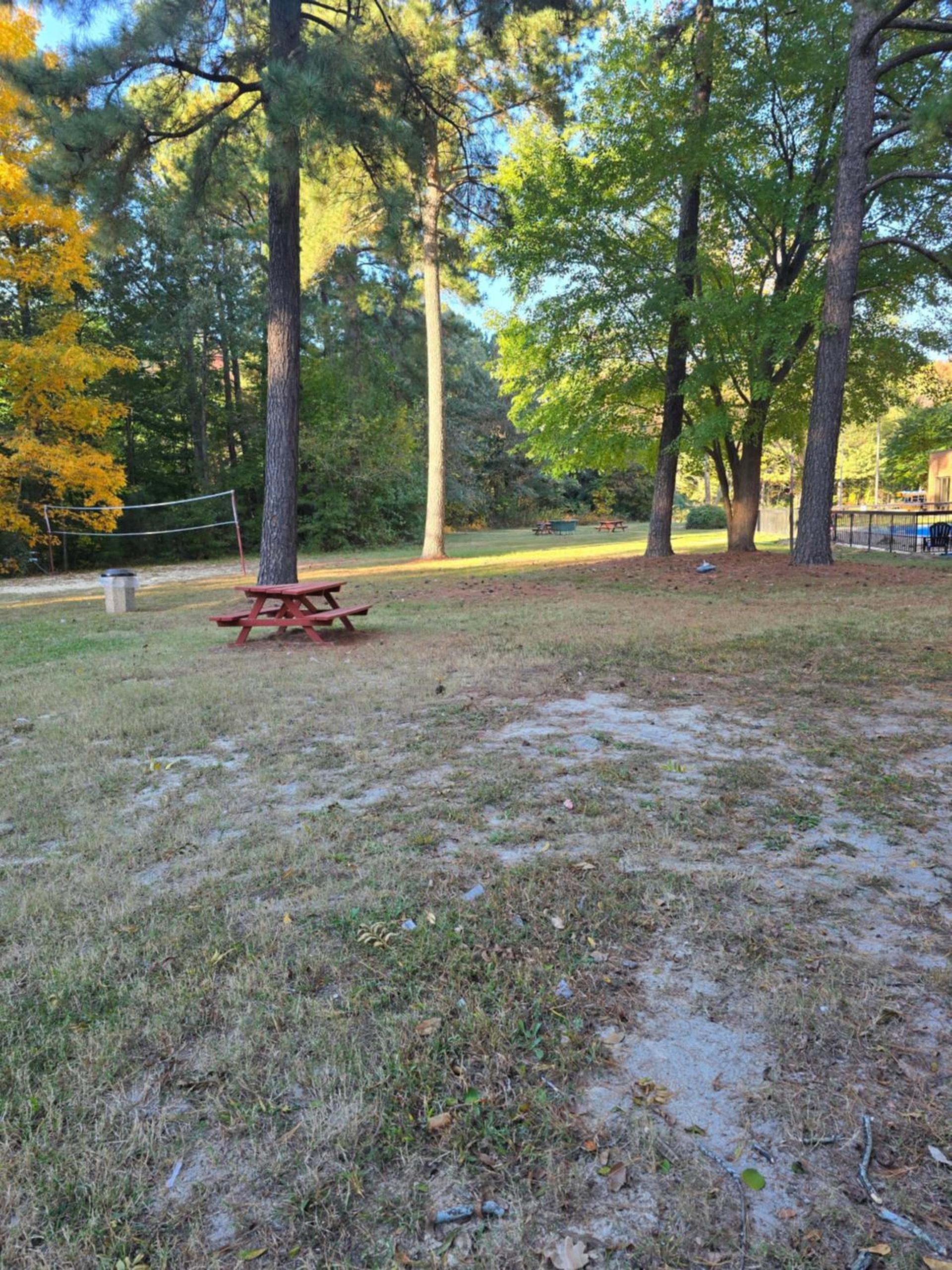 Wyndham Garden Williamsburg Busch Gardens Area photo 29