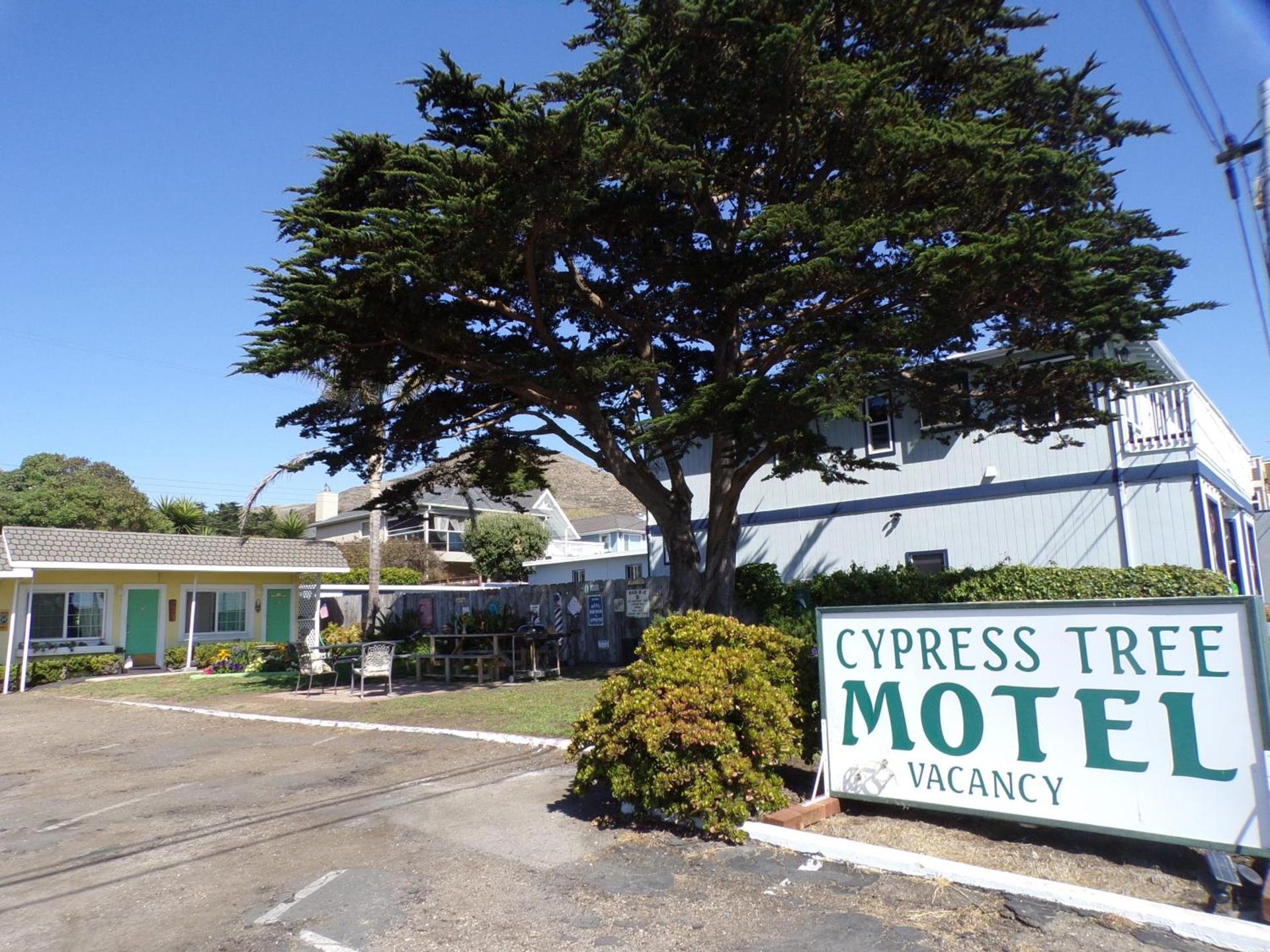 Cypress Tree Motel photo 2