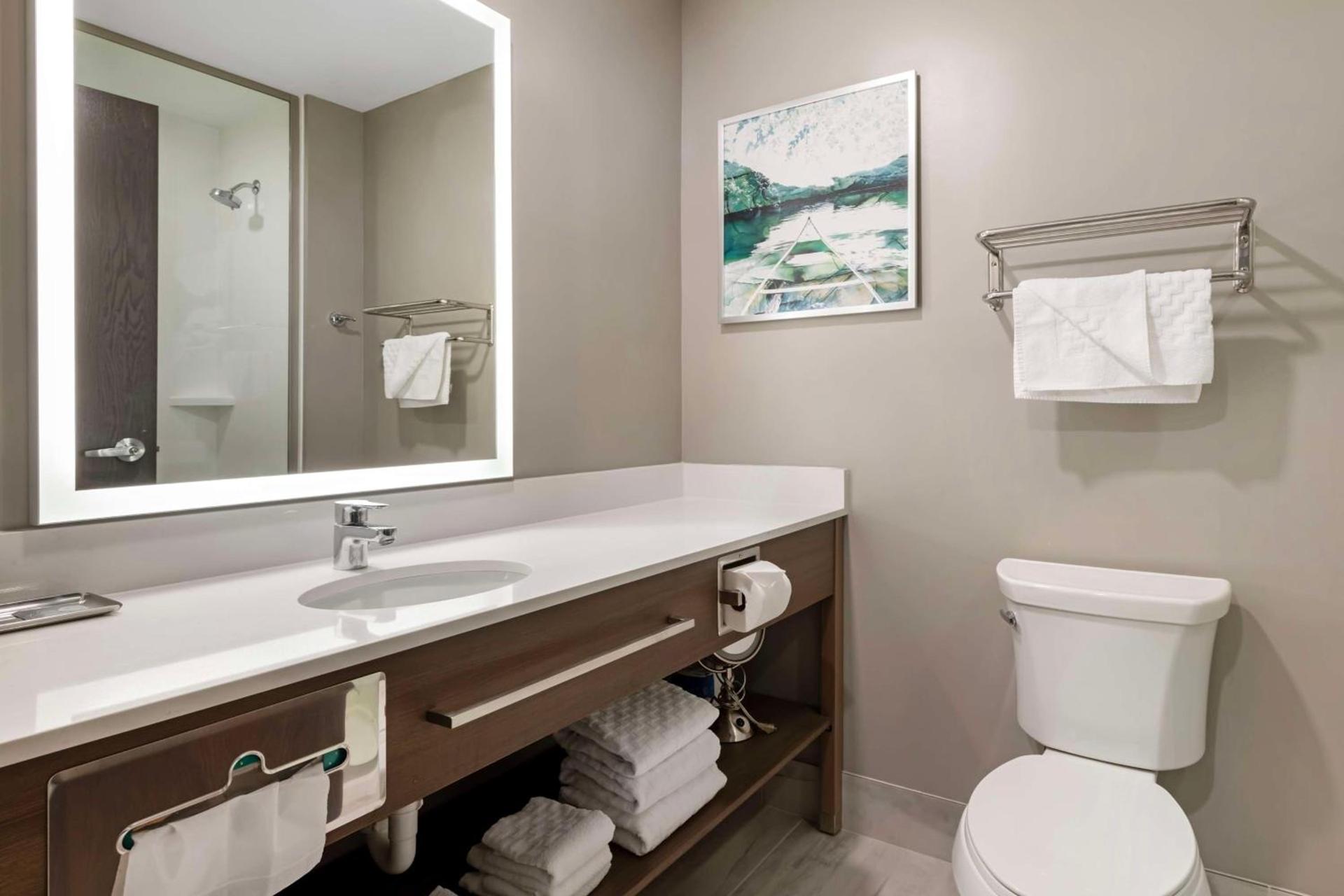Best Western Plus Grand Rapids MN photo 18