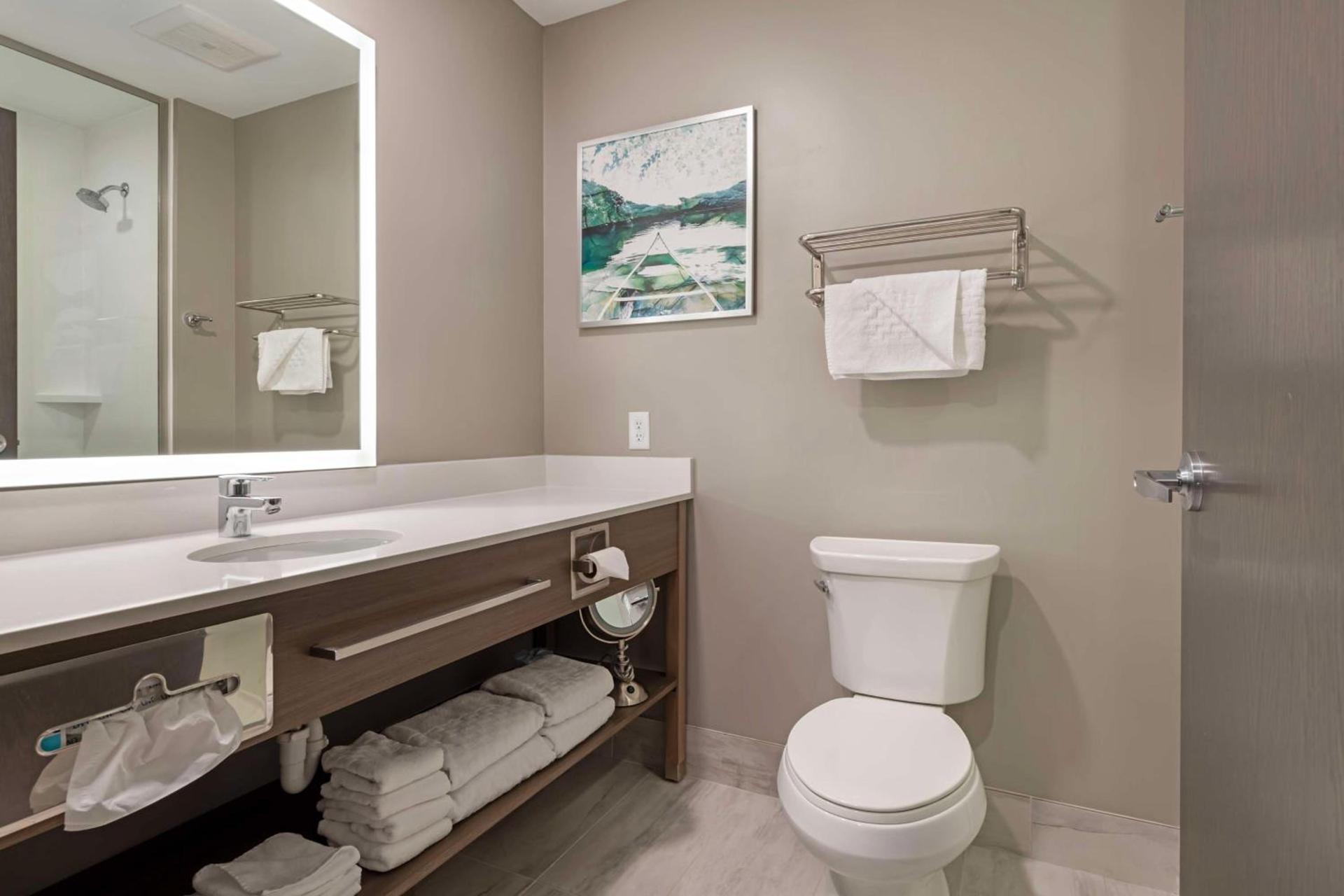 Best Western Plus Grand Rapids MN photo 7