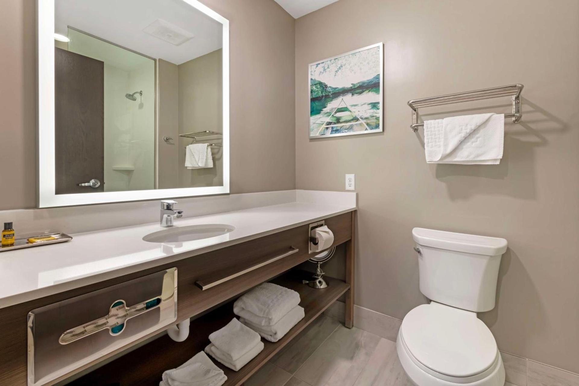Best Western Plus Grand Rapids MN photo 13
