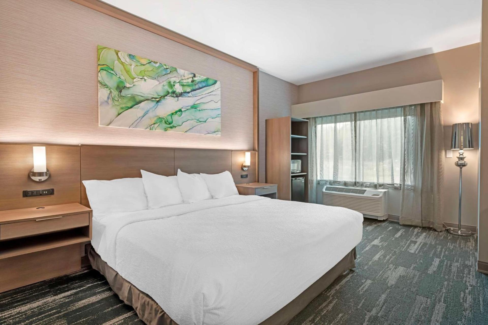Best Western Plus Grand Rapids MN photo 15