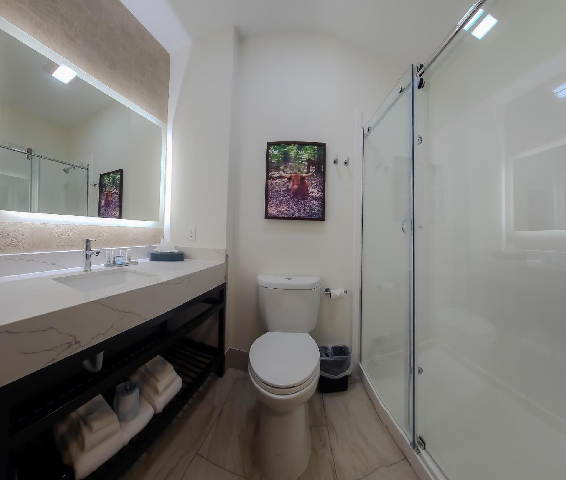 La Quinta by Wyndham Dallas Mesquite photo 51