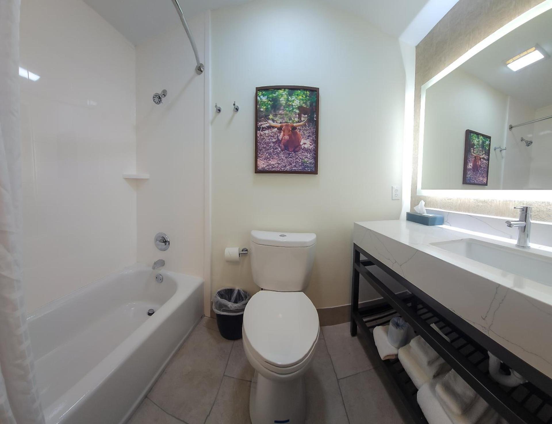 La Quinta by Wyndham Dallas Mesquite photo 57