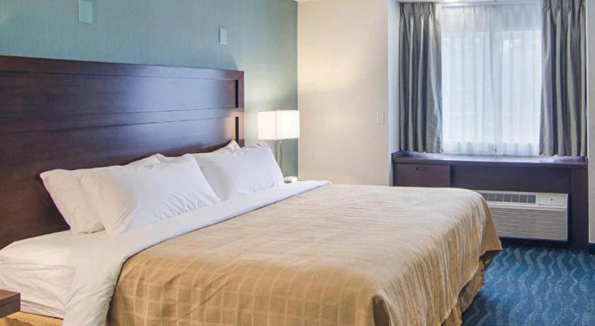 Quality Inn photo 31