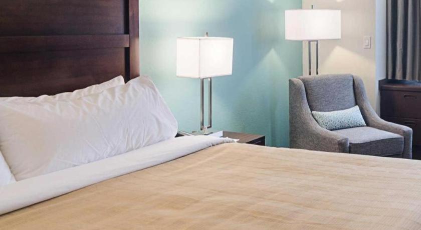 Quality Inn photo 37