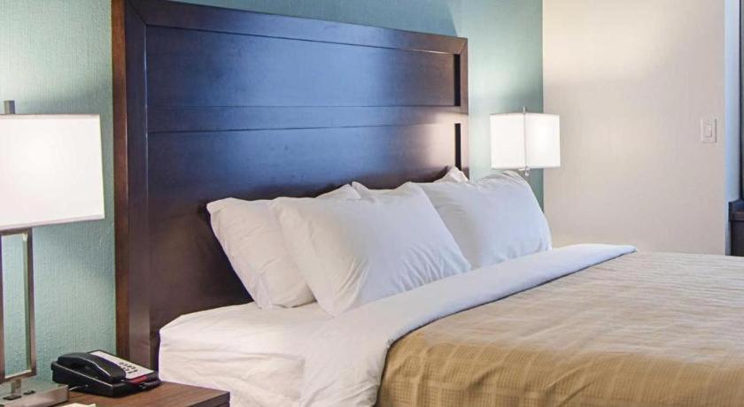 Quality Inn photo 50