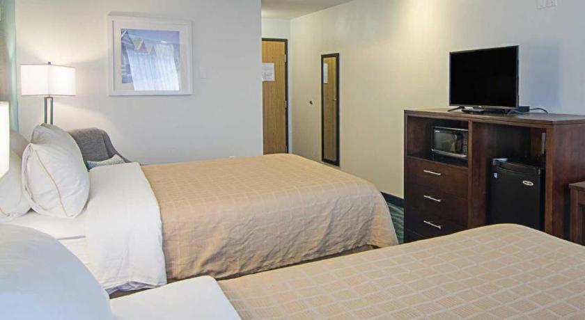 Quality Inn photo 52