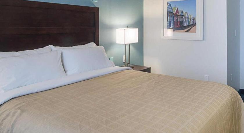 Quality Inn photo 54