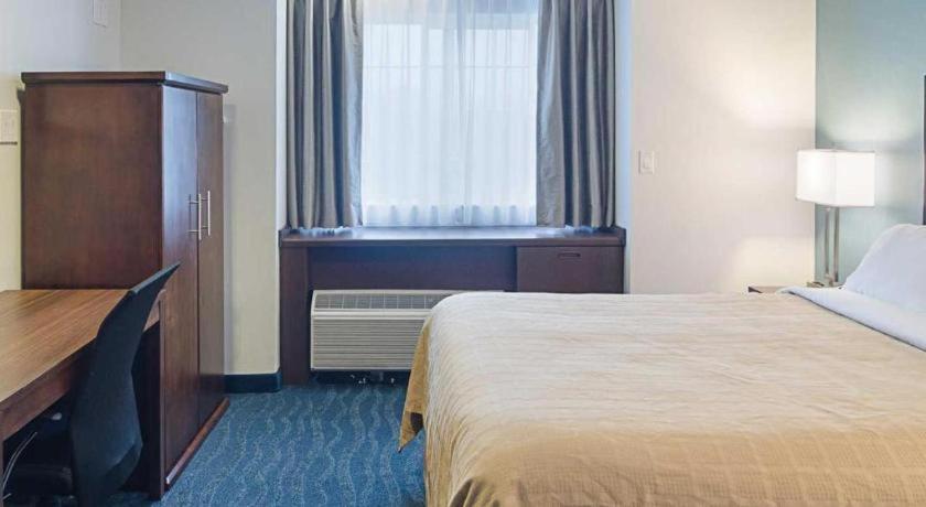 Quality Inn photo 62