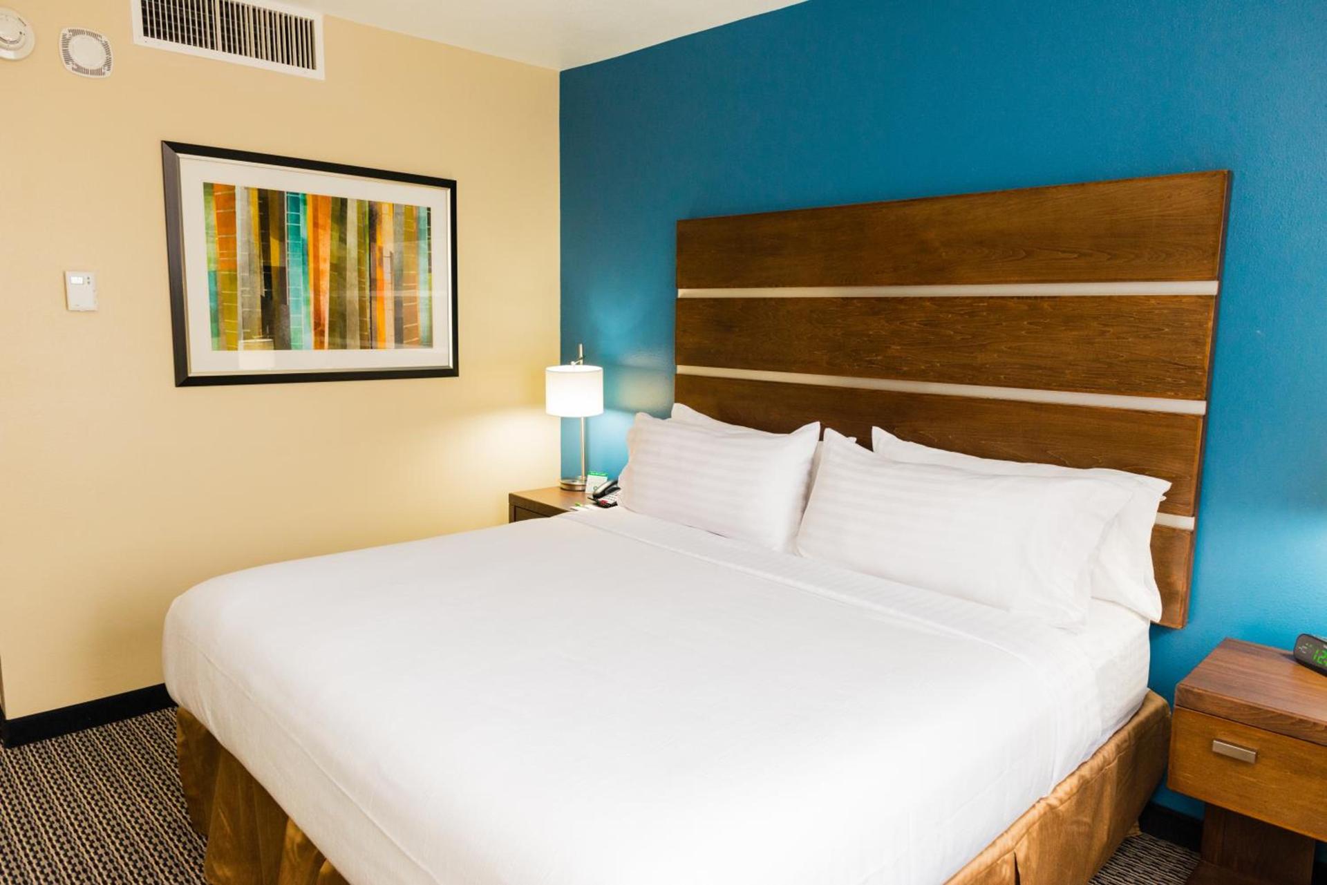 Holiday Inn Houston Downtown by IHG photo 87