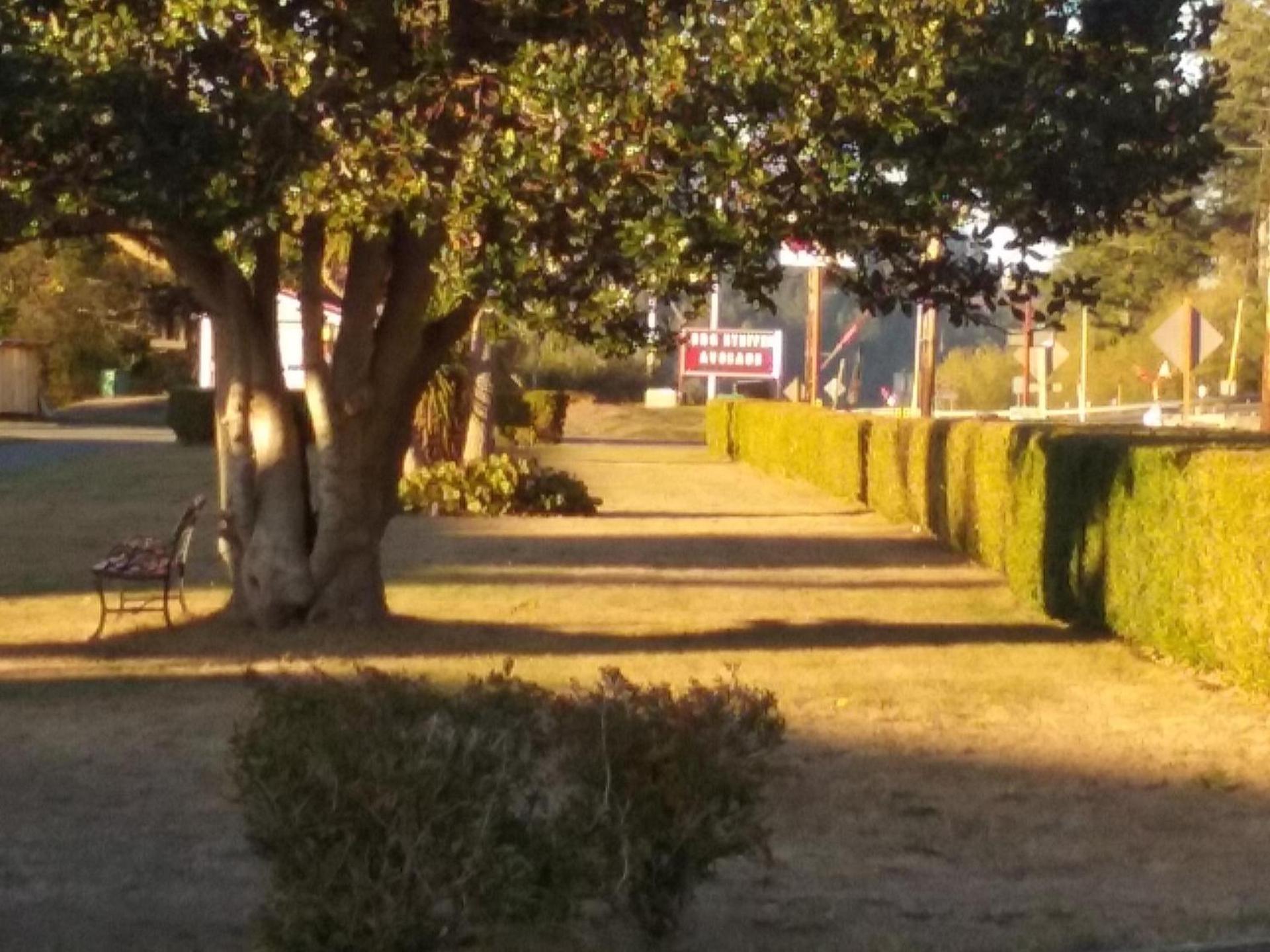 Bay Bridge Motel photo 2