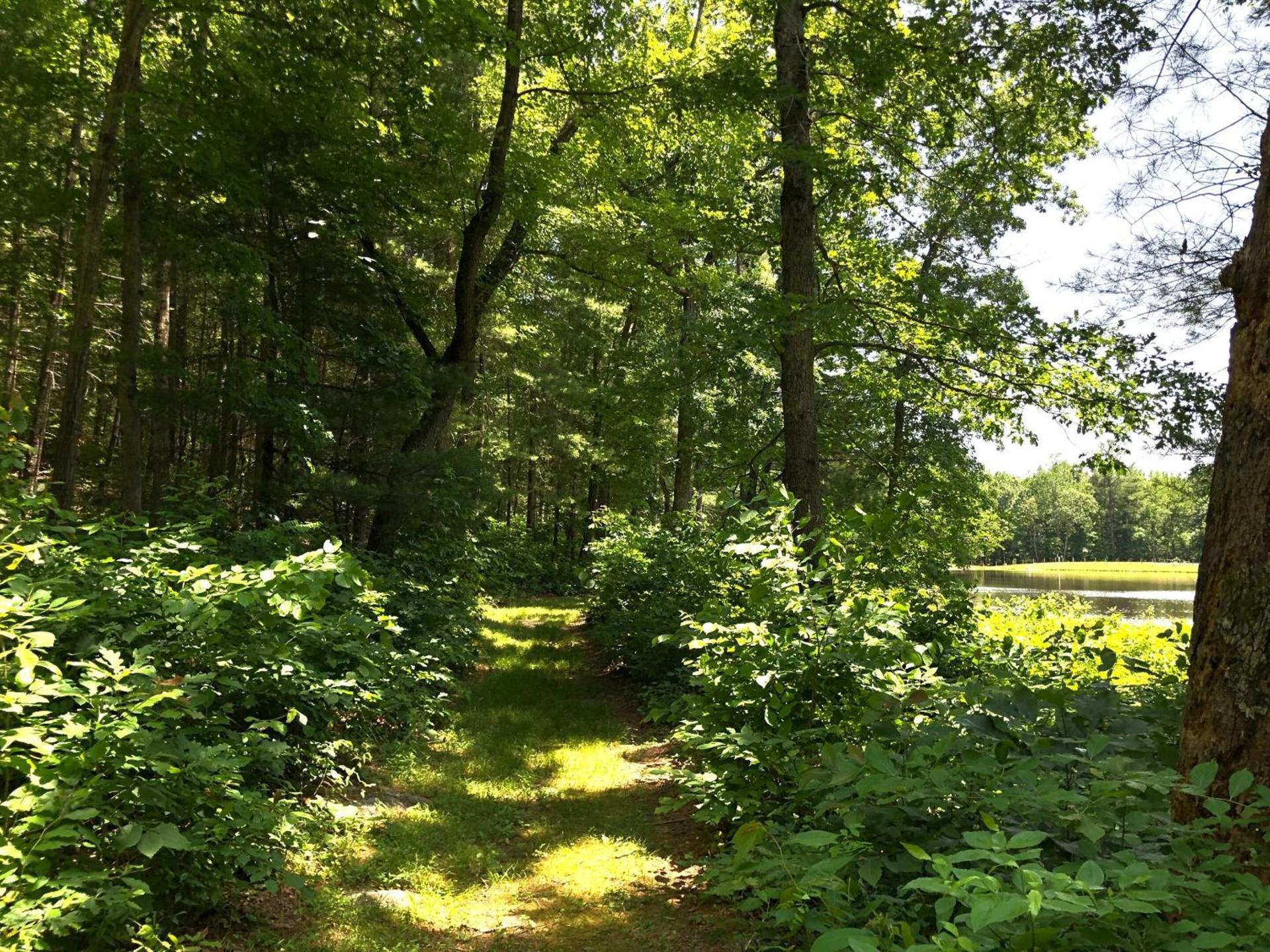 Montfair Resort Farm photo 14
