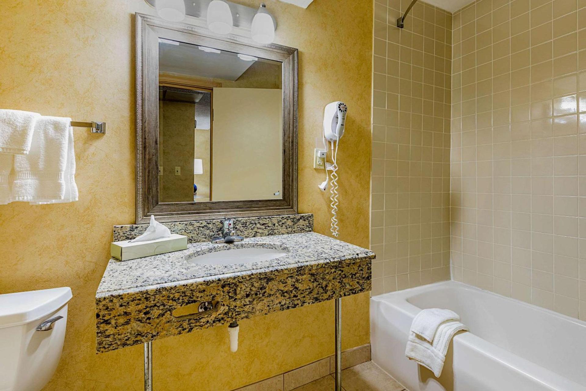 Quality Inn & Suites Coldwater near I-69 photo 10