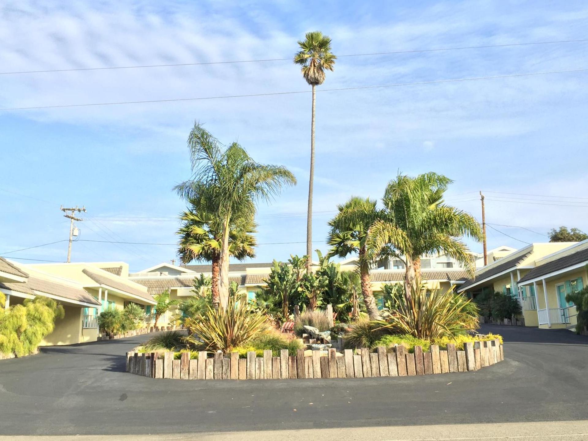 Beach Bungalow Inn and Suites photo 14