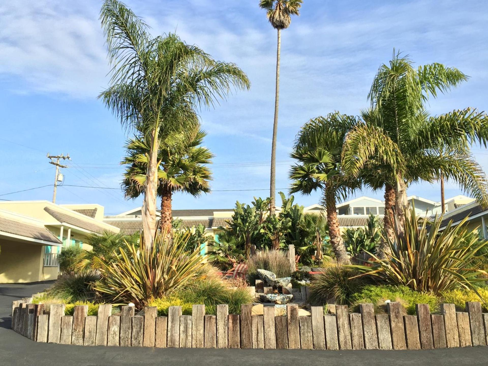 Beach Bungalow Inn and Suites photo 37