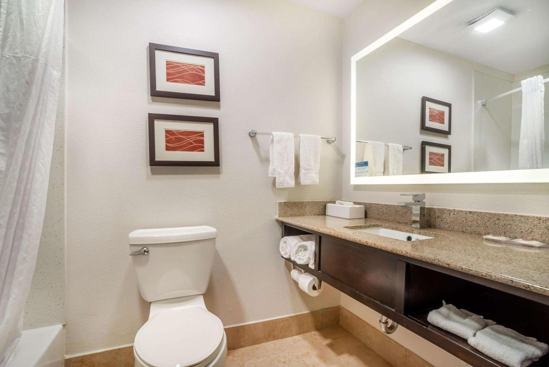 Comfort Inn & Suites Lake Norman photo 10