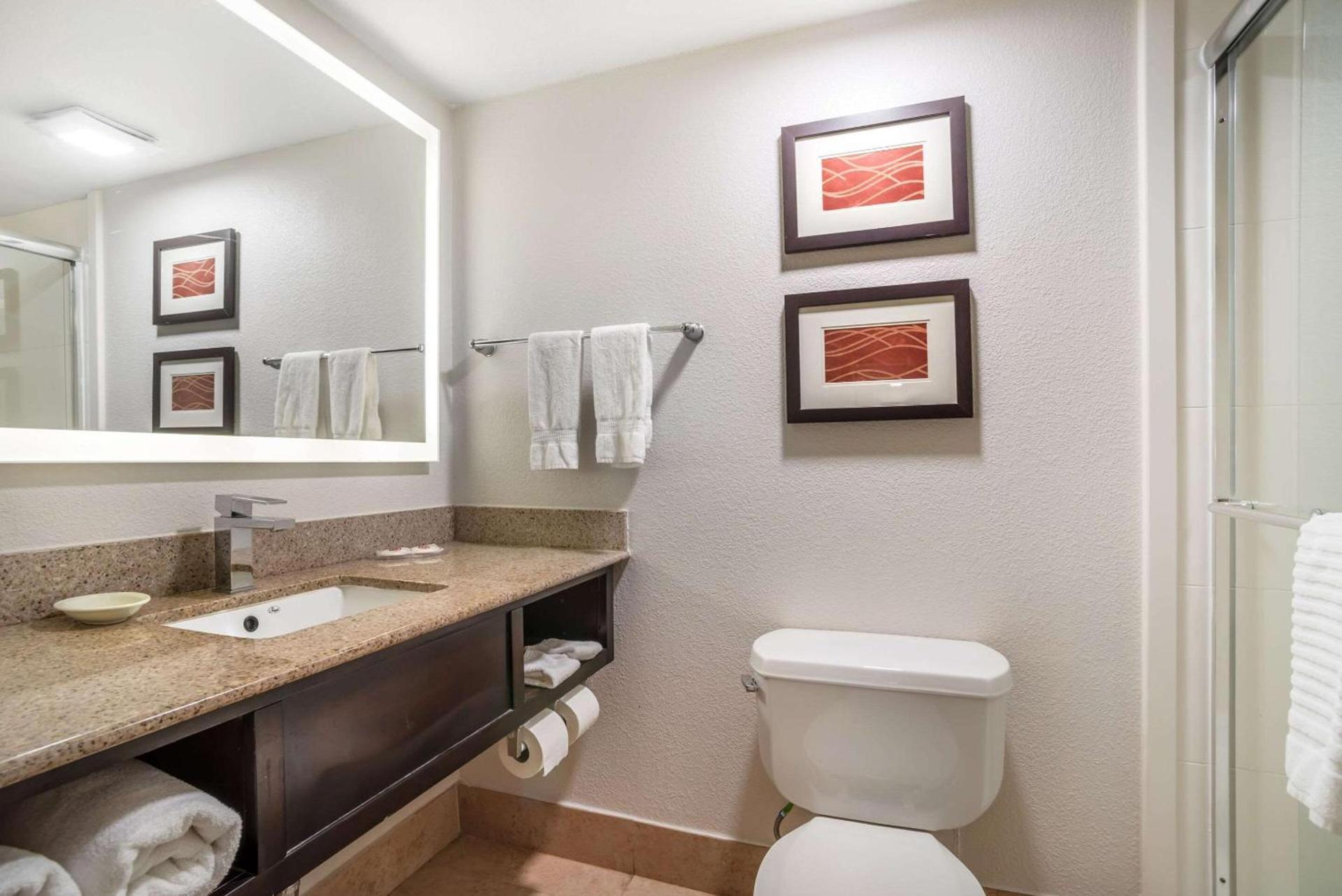 Comfort Inn & Suites Lake Norman photo 23